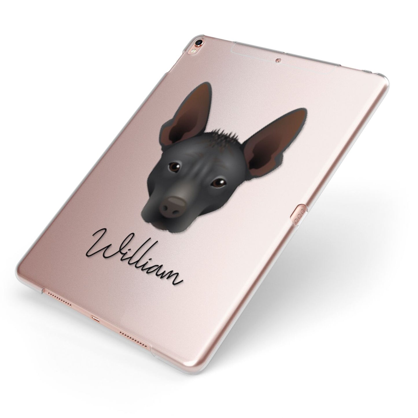 Mexican Hairless Personalised Apple iPad Case on Rose Gold iPad Side View