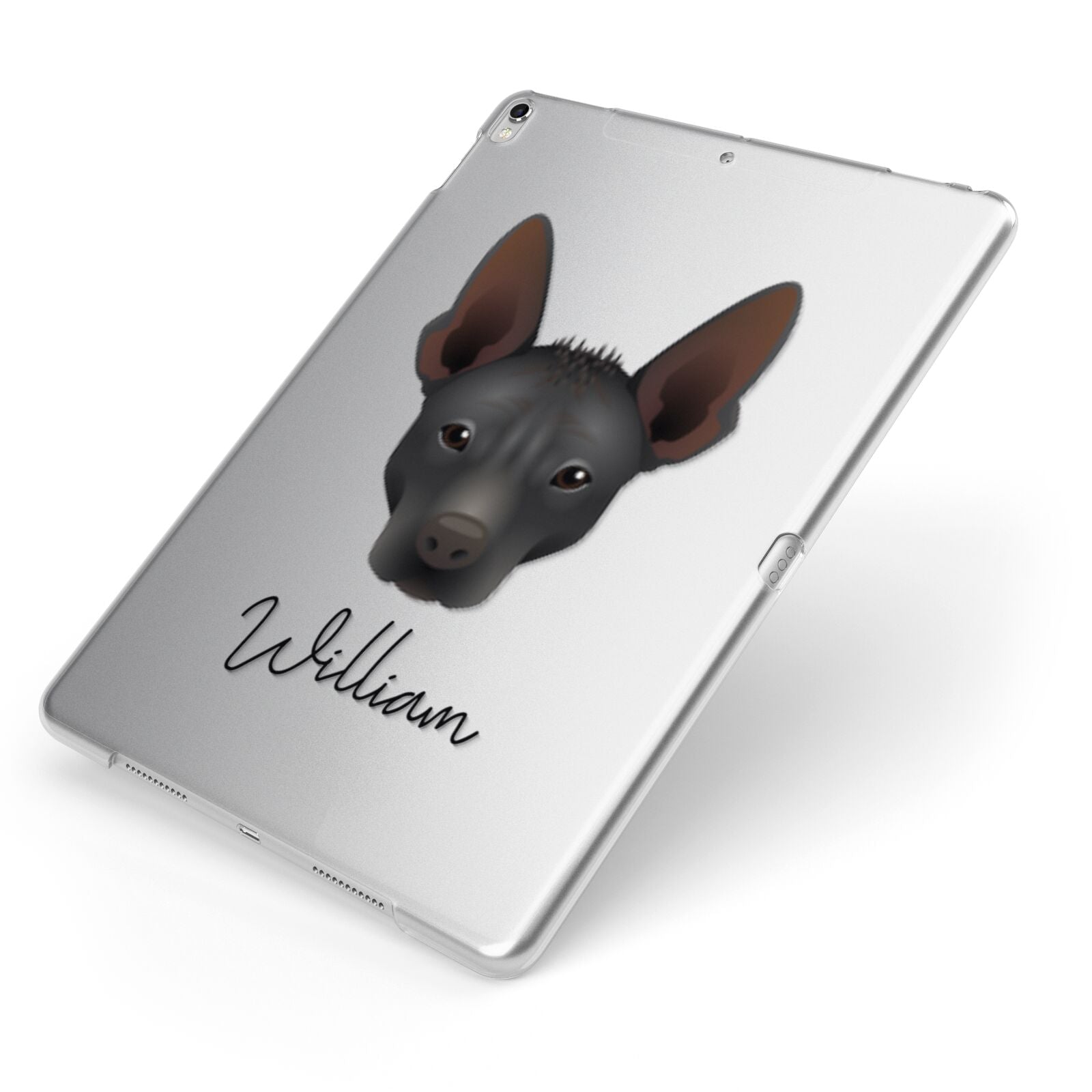 Mexican Hairless Personalised Apple iPad Case on Silver iPad Side View