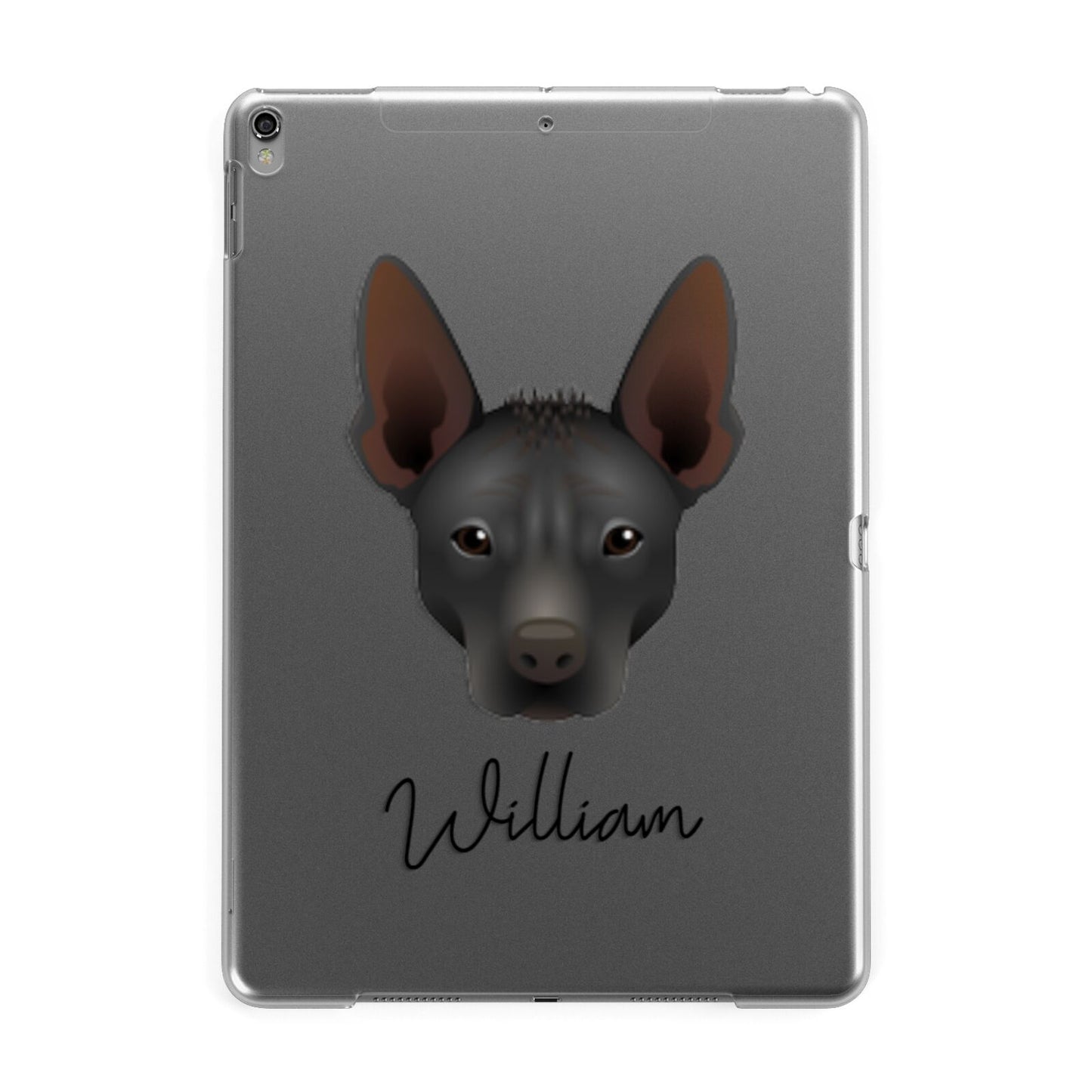 Mexican Hairless Personalised Apple iPad Grey Case