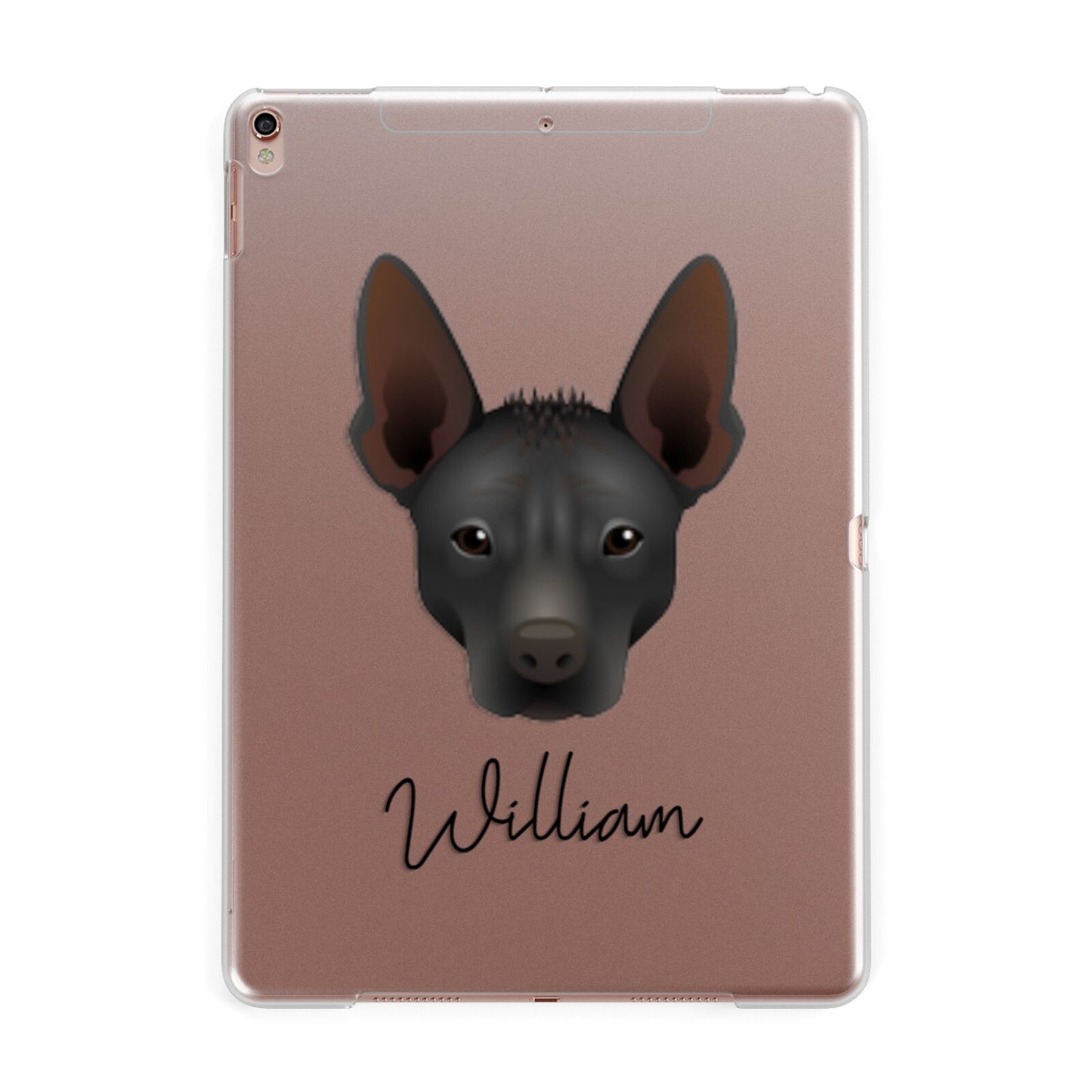 Mexican Hairless Personalised Apple iPad Rose Gold Case