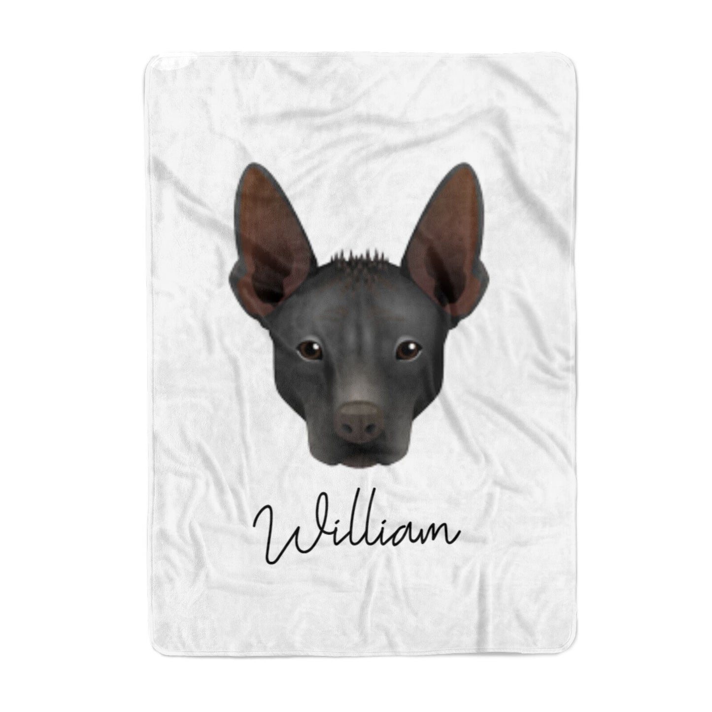 Mexican Hairless Personalised Large Fleece Blanket