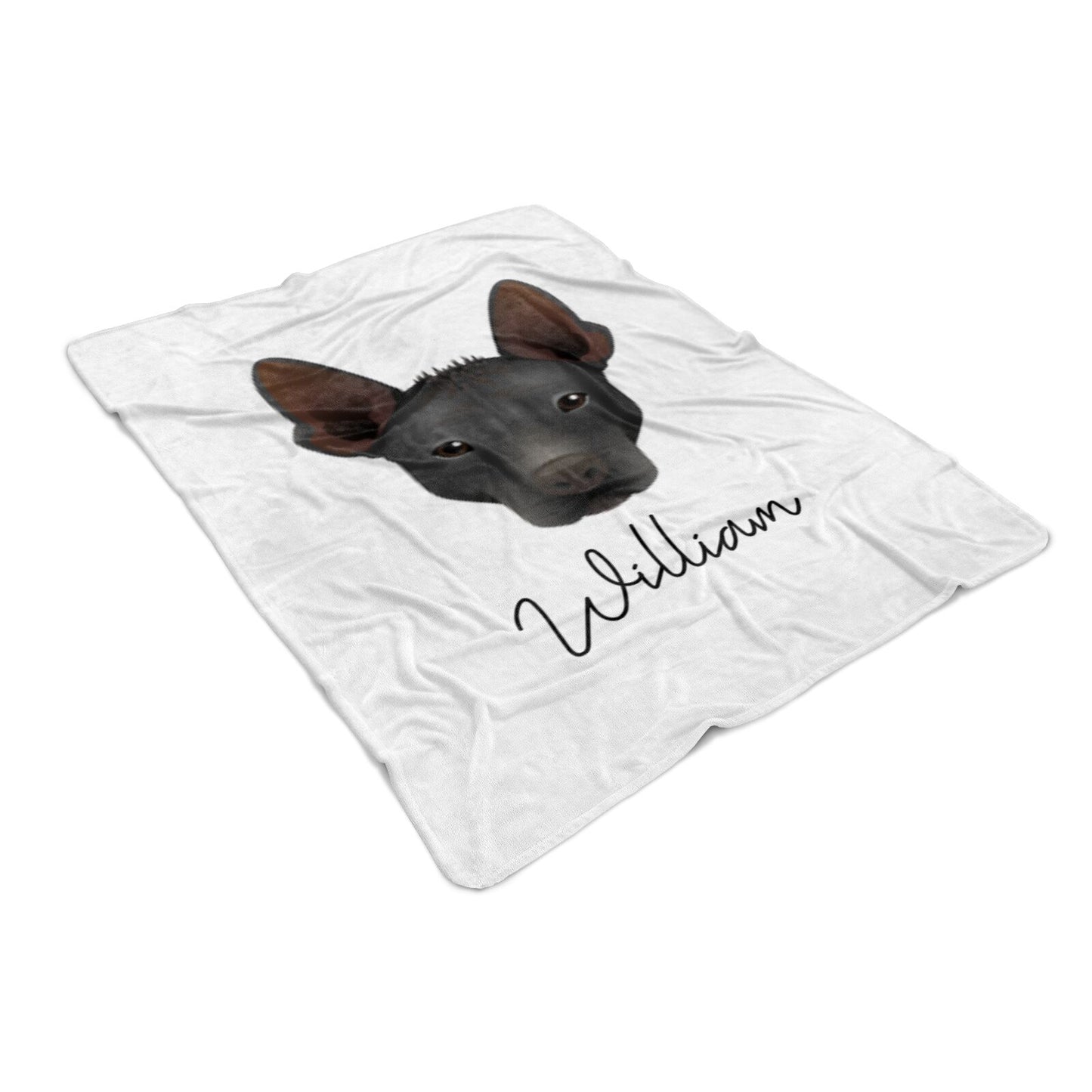 Mexican Hairless Personalised Large Fleece Blankets