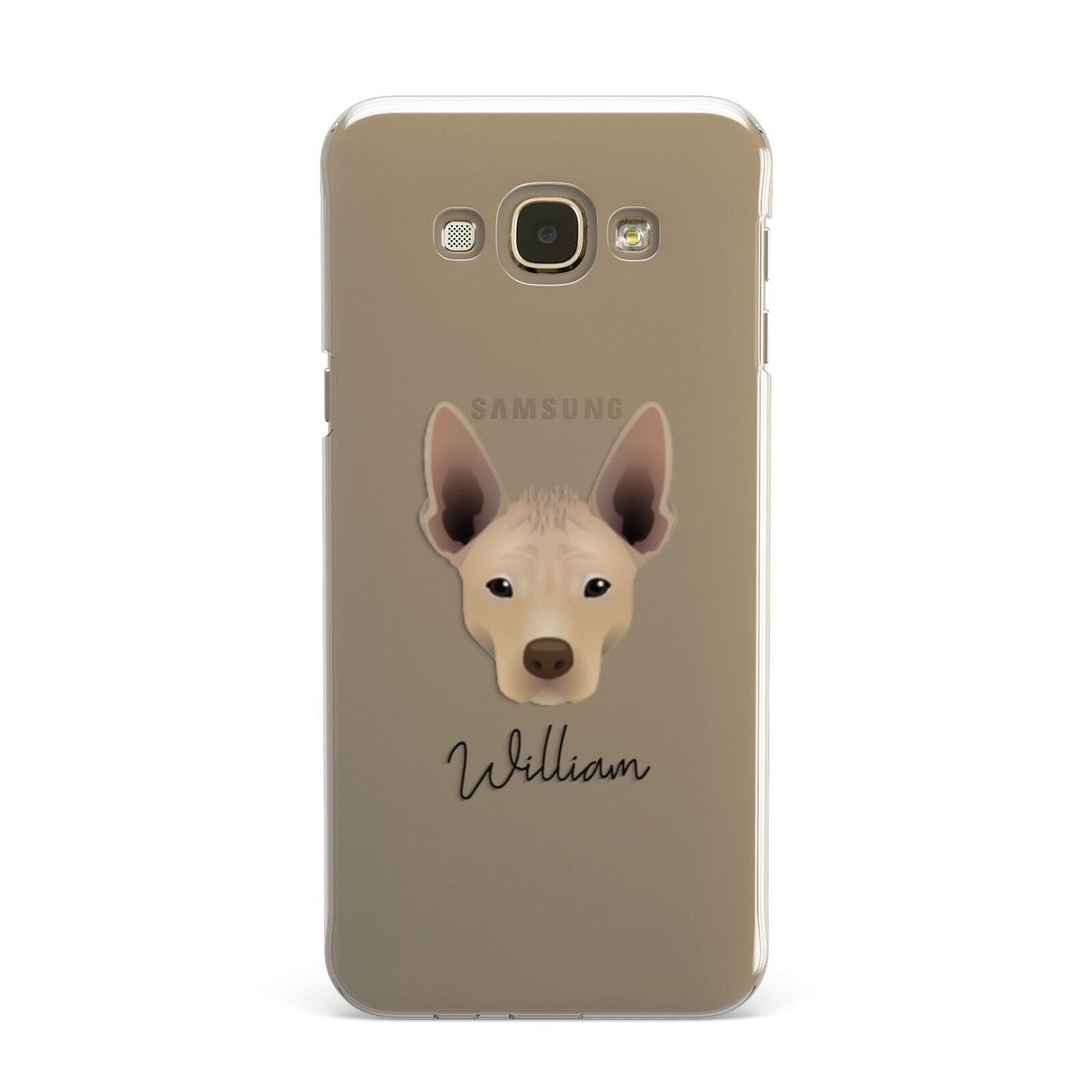 Mexican Hairless Personalised Samsung Galaxy A8 Case