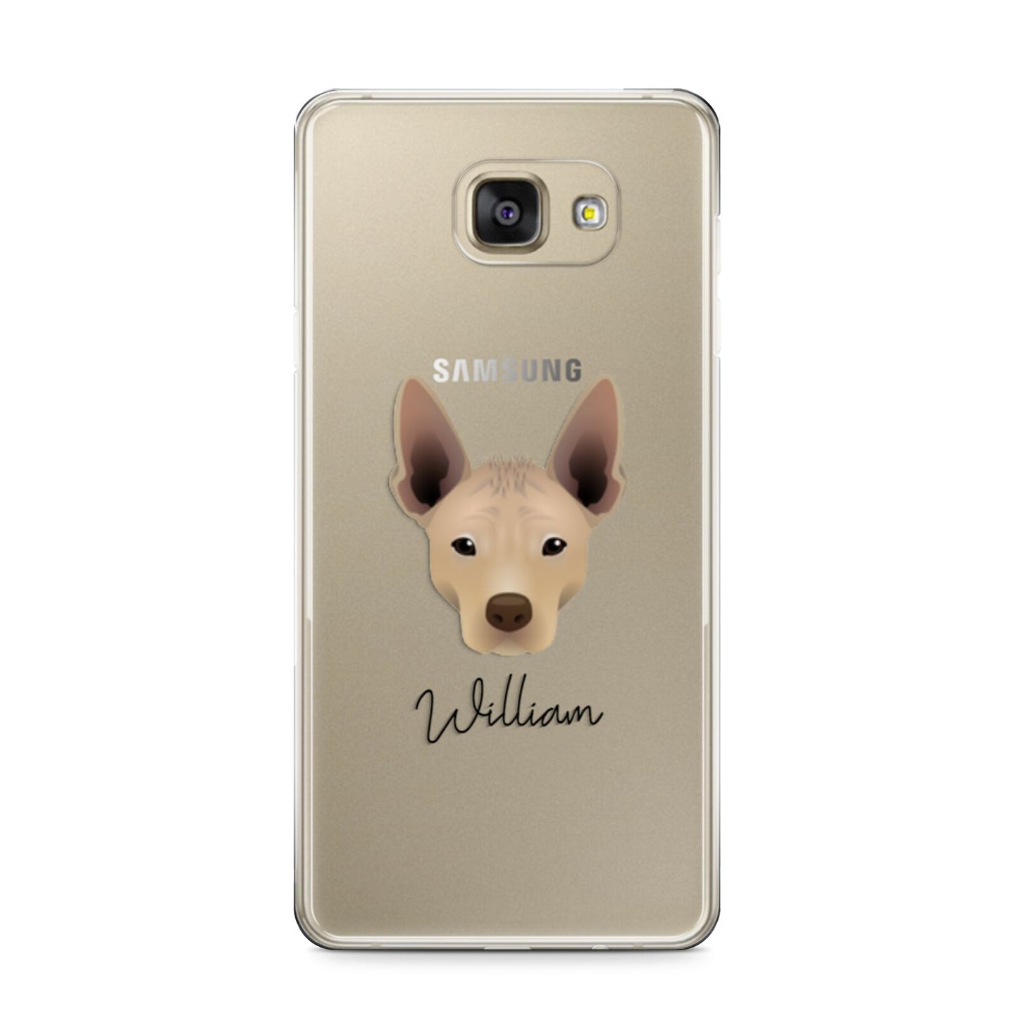 Mexican Hairless Personalised Samsung Galaxy A9 2016 Case on gold phone