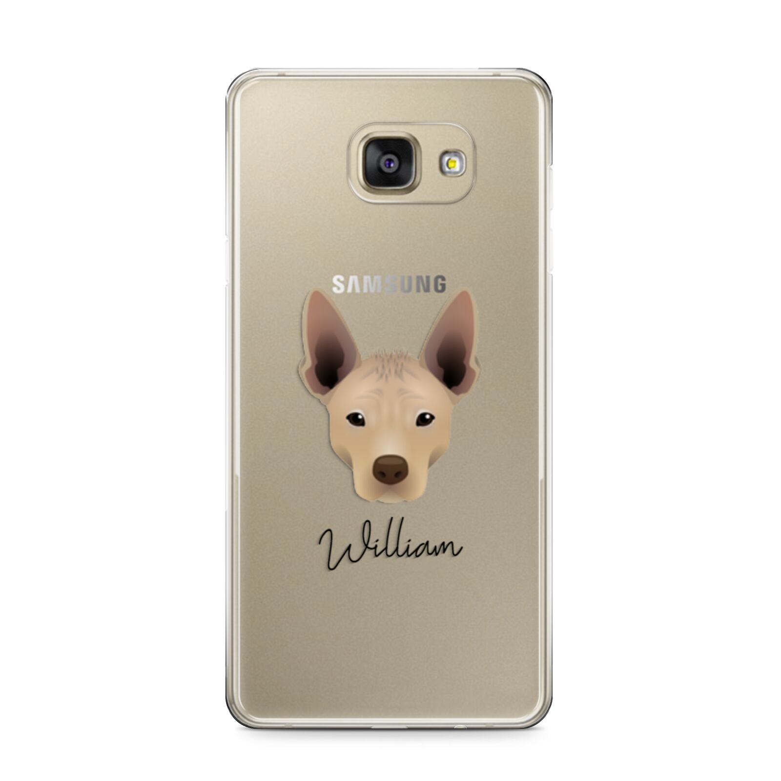 Mexican Hairless Personalised Samsung Galaxy A9 2016 Case on gold phone