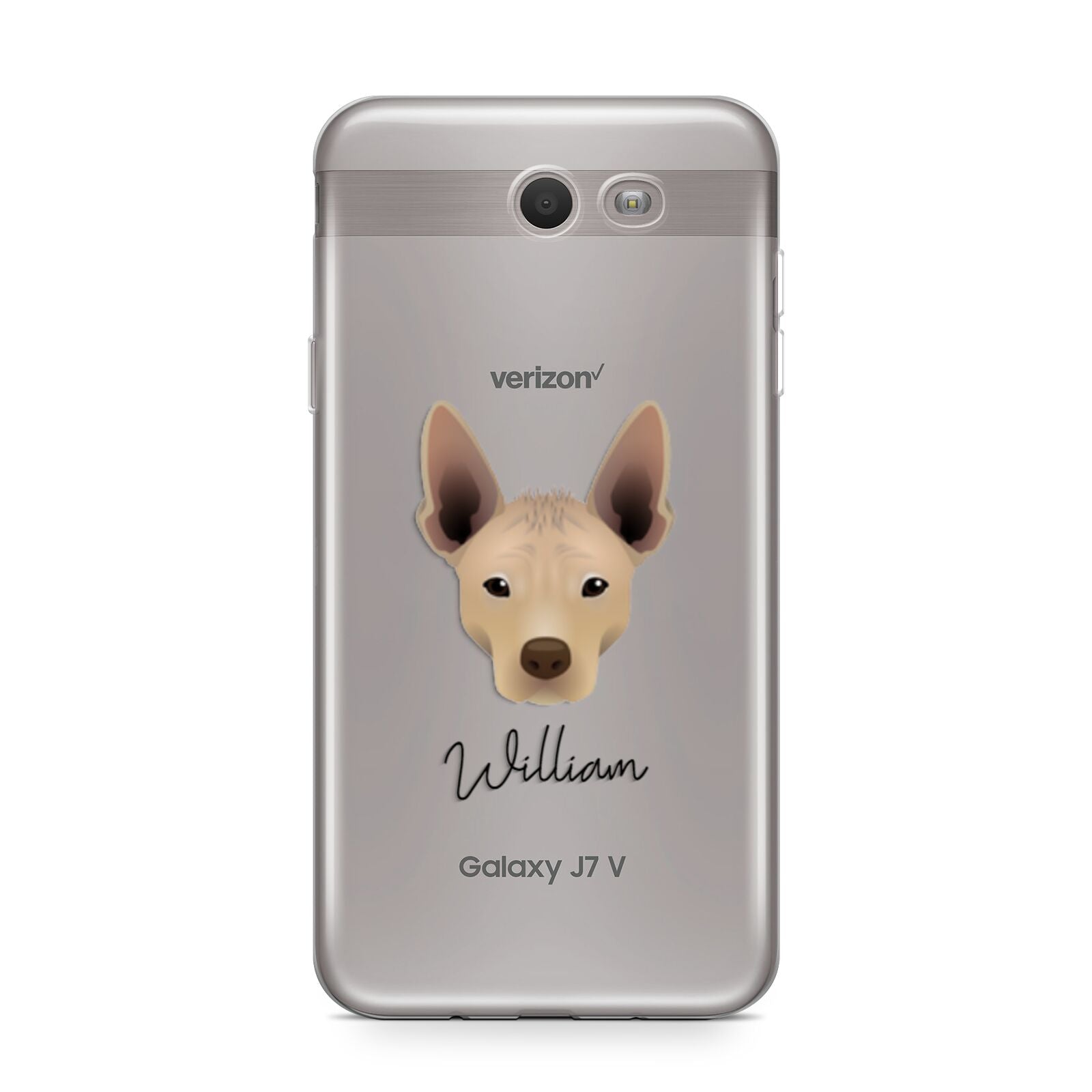 Mexican Hairless Personalised Samsung Galaxy J7 2017 Case