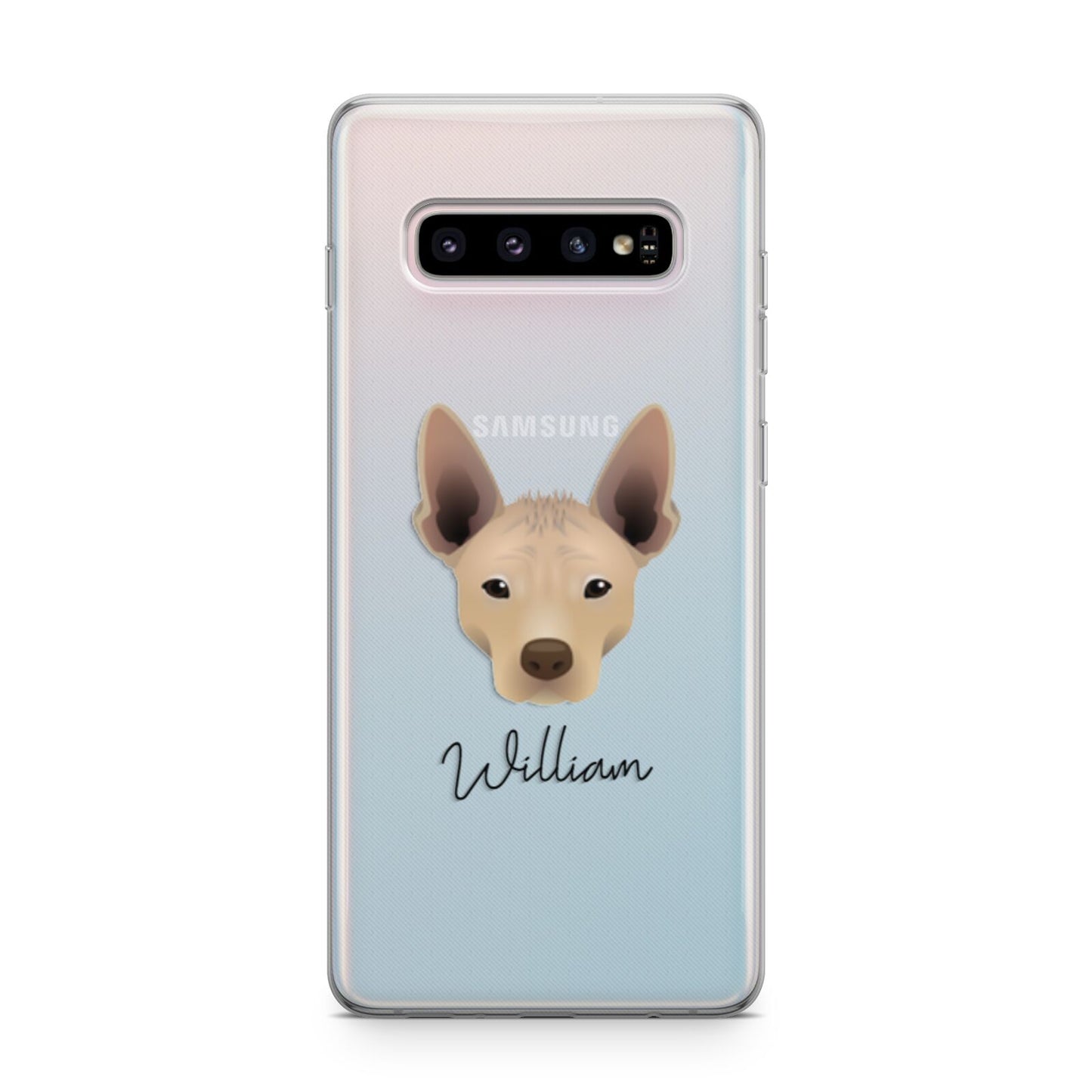 Mexican Hairless Personalised Samsung Galaxy S10 Plus Case