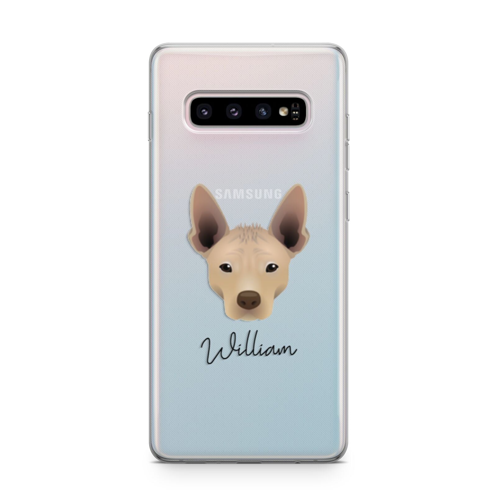 Mexican Hairless Personalised Samsung Galaxy S10 Plus Case