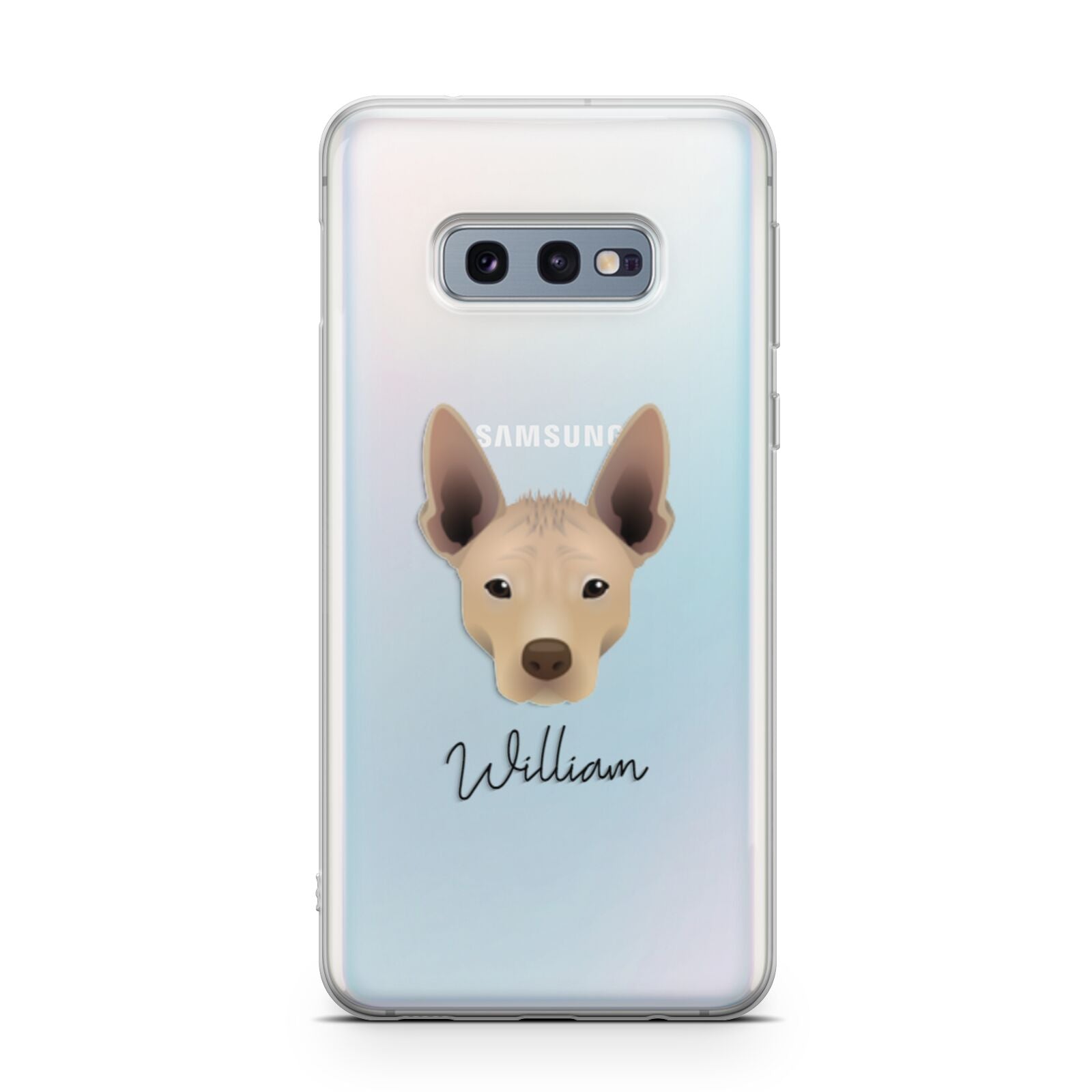 Mexican Hairless Personalised Samsung Galaxy S10E Case