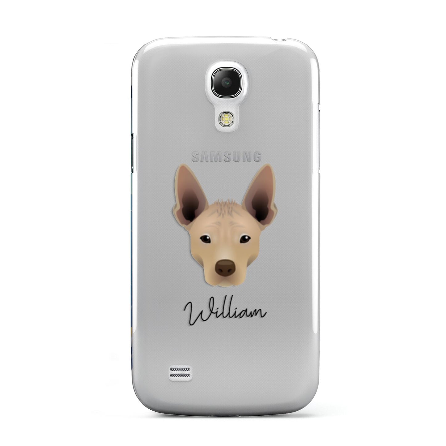 Mexican Hairless Personalised Samsung Galaxy S4 Mini Case