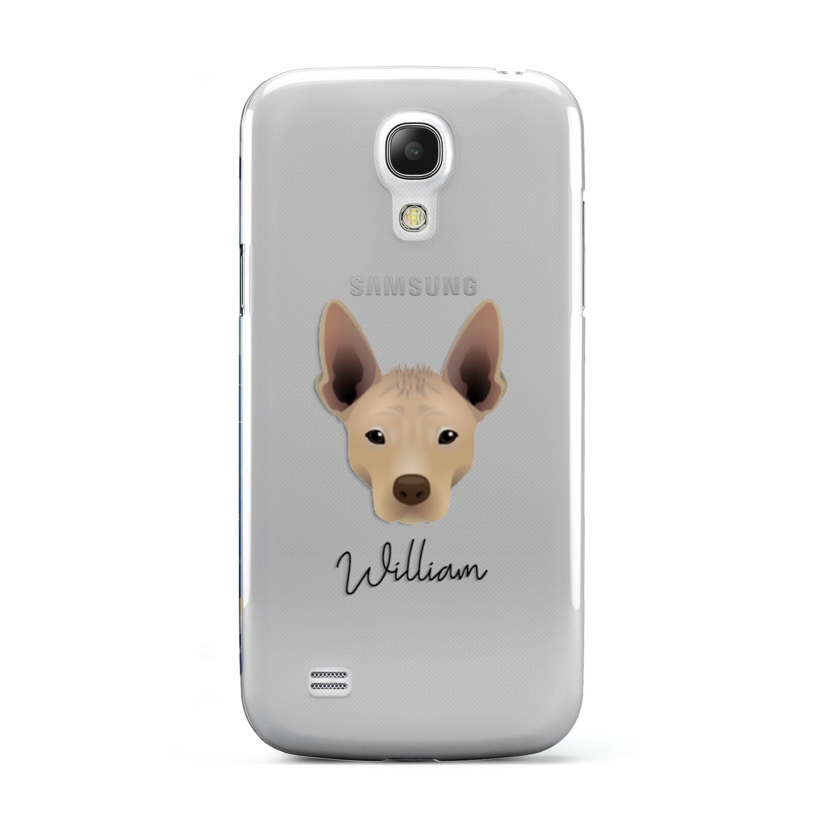 Mexican Hairless Personalised Samsung Galaxy S4 Mini Case