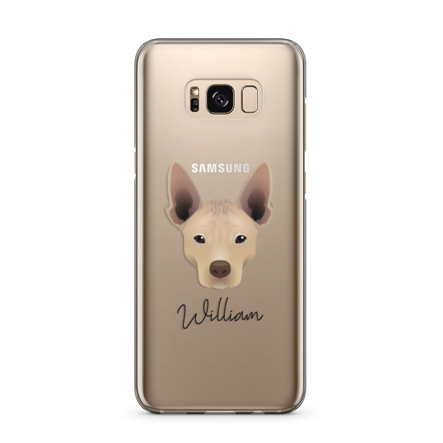 Mexican Hairless Personalised Samsung Galaxy S8 Plus Case
