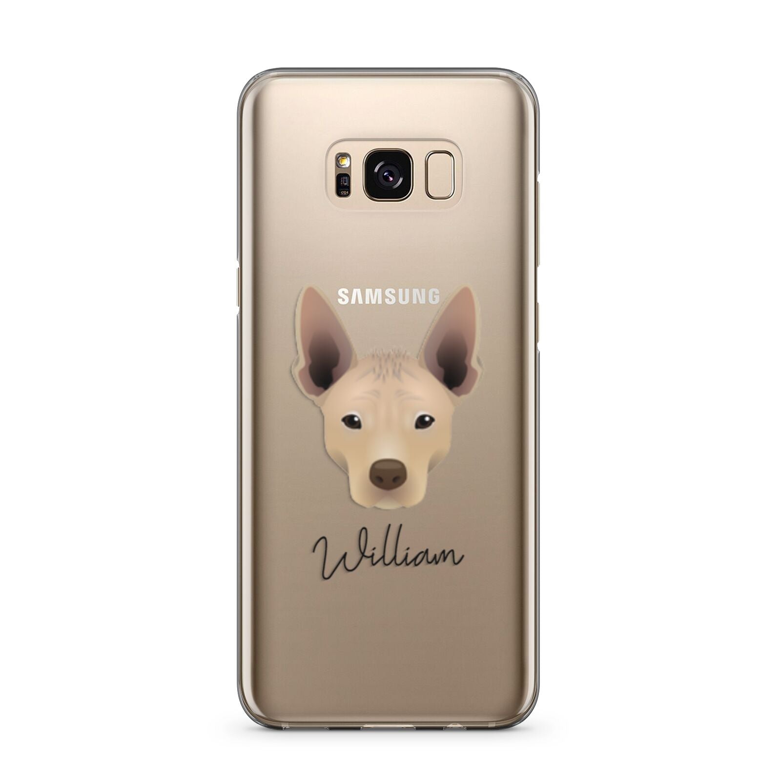 Mexican Hairless Personalised Samsung Galaxy S8 Plus Case