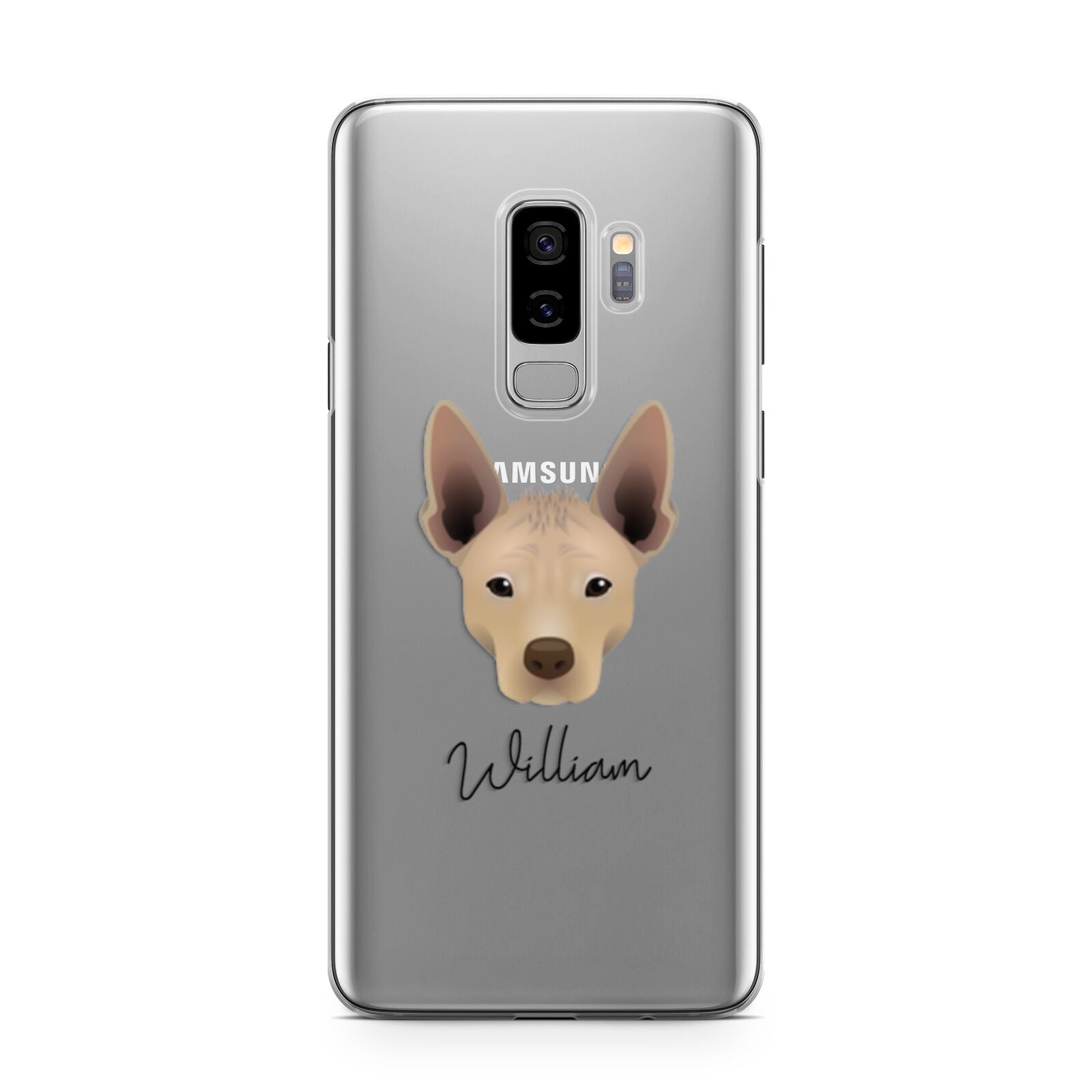 Mexican Hairless Personalised Samsung Galaxy S9 Plus Case on Silver phone