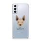 Mexican Hairless Personalised Samsung S21 Plus Phone Case