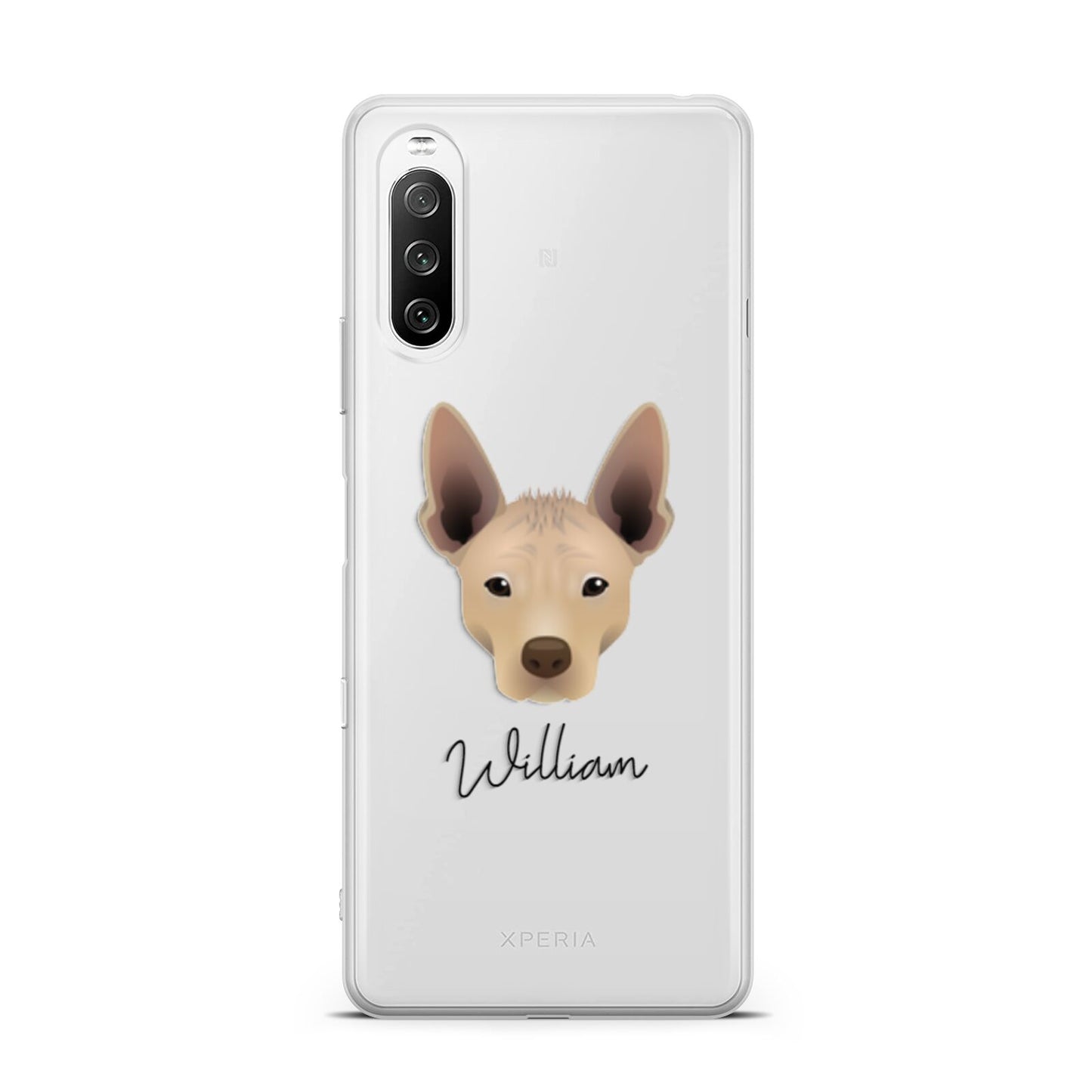 Mexican Hairless Personalised Sony Xperia 10 III Case