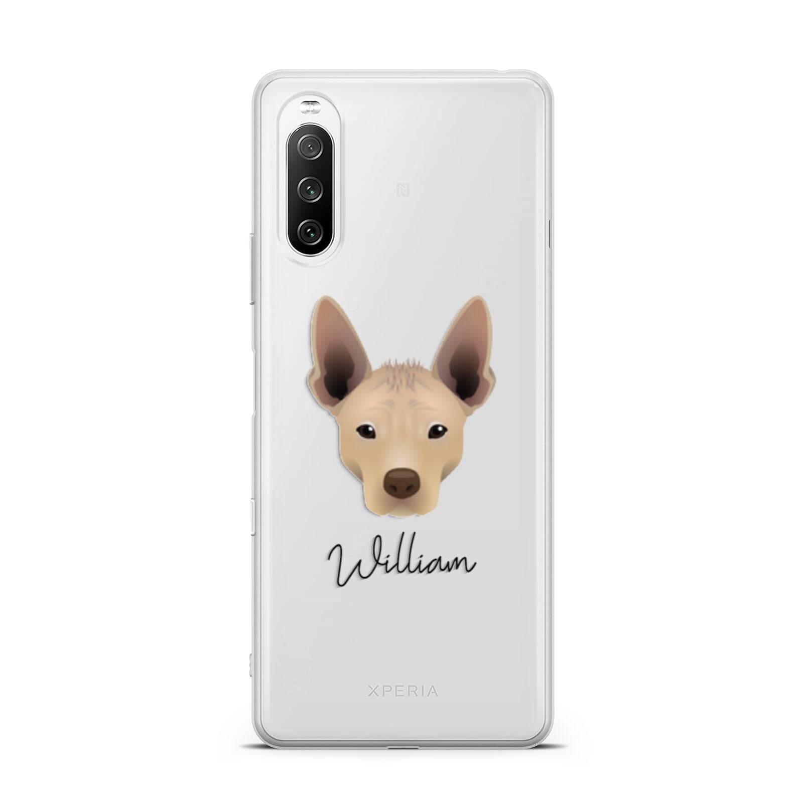 Mexican Hairless Personalised Sony Xperia 10 III Case