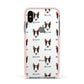 Miniature Bull Terrier Icon with Name Apple iPhone Xs Impact Case Pink Edge on Silver Phone