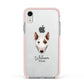 Miniature Bull Terrier Personalised Apple iPhone XR Impact Case Pink Edge on Silver Phone