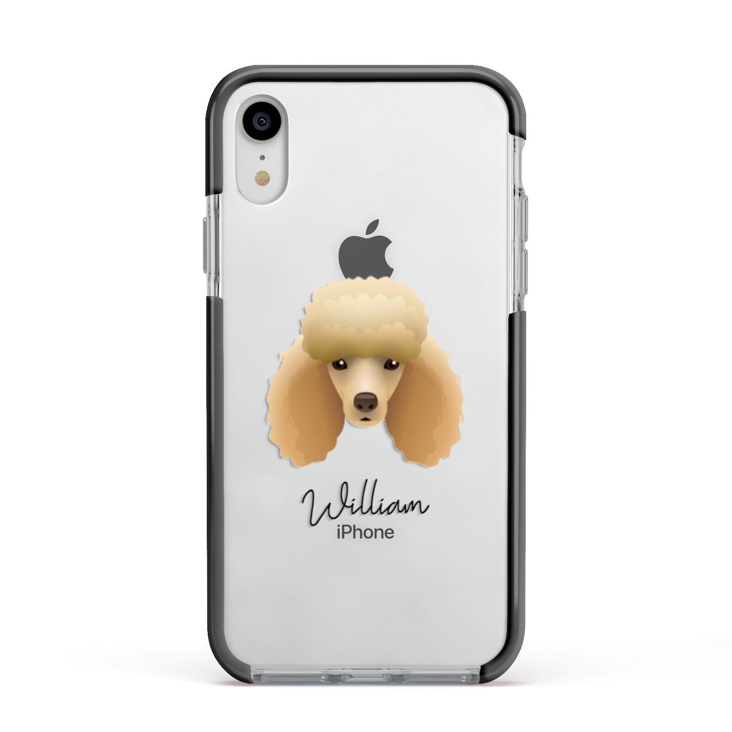 Miniature Poodle Personalised Apple iPhone XR Impact Case Black Edge on Silver Phone