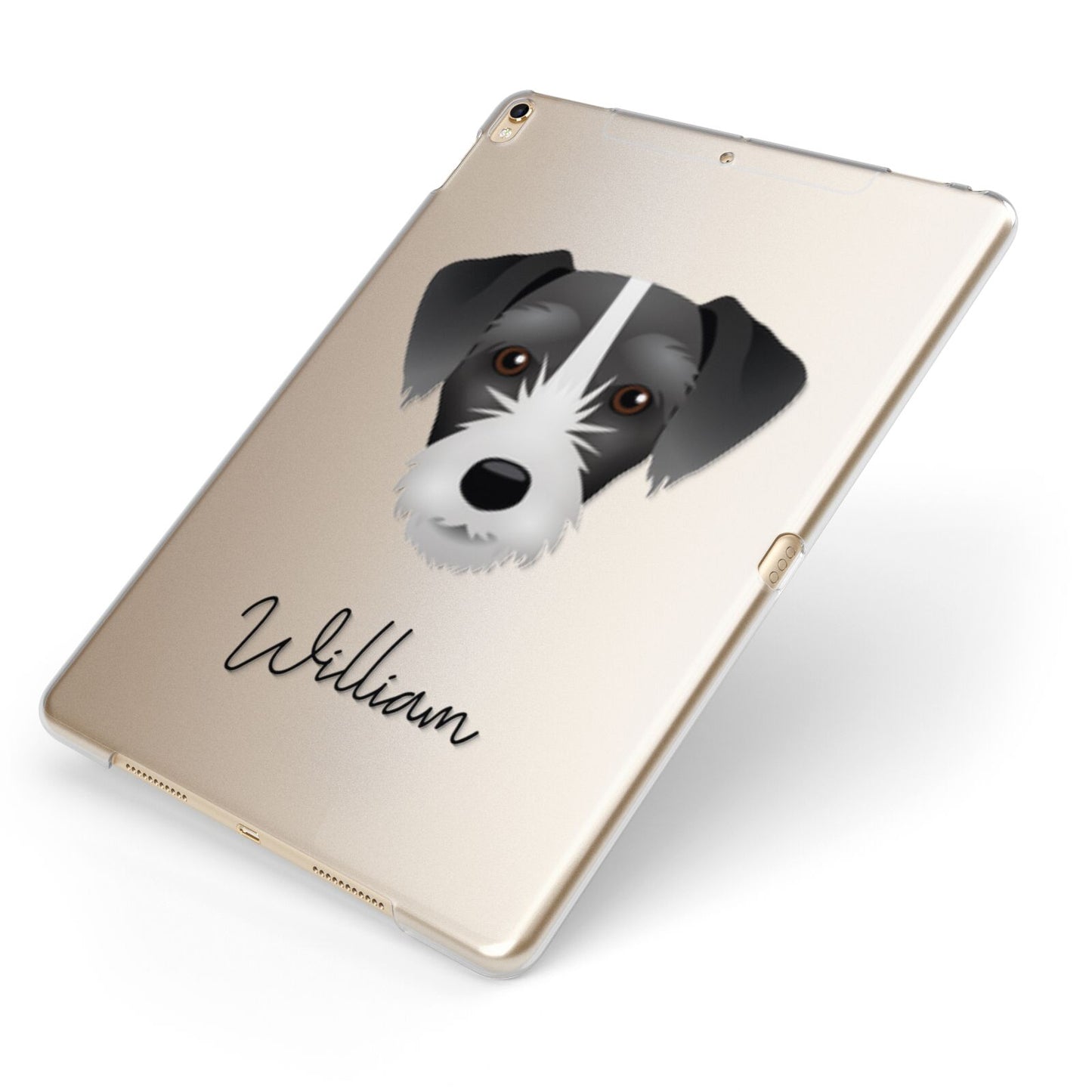 Miniature Schnoxie Personalised Apple iPad Case on Gold iPad Side View