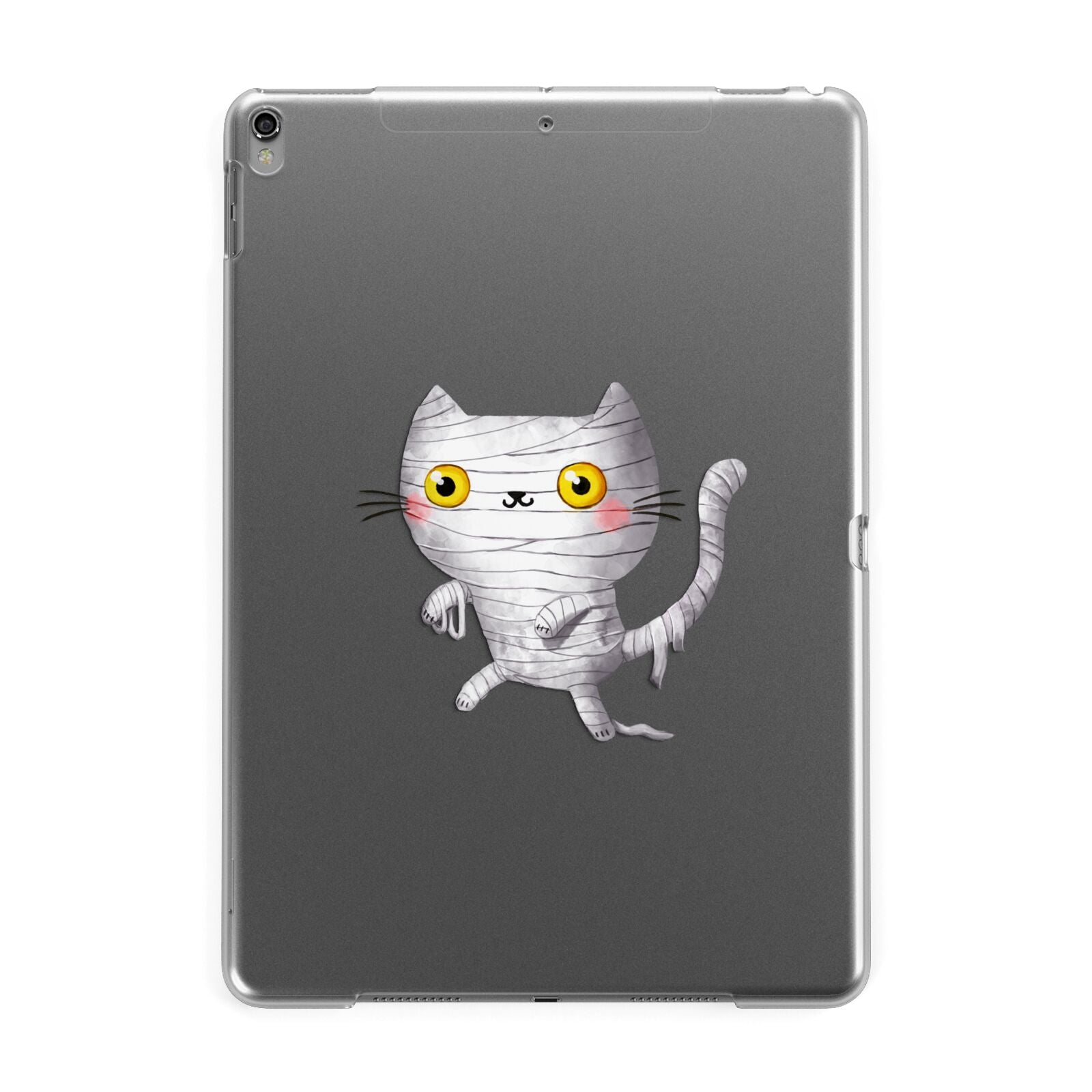 Mummy Cats Apple iPad Grey Case