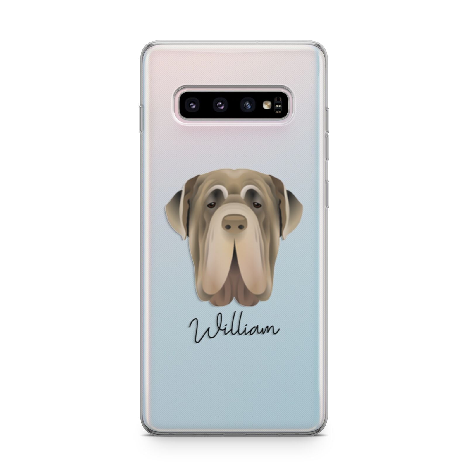 Neapolitan Mastiff Personalised Samsung Galaxy S10 Plus Case