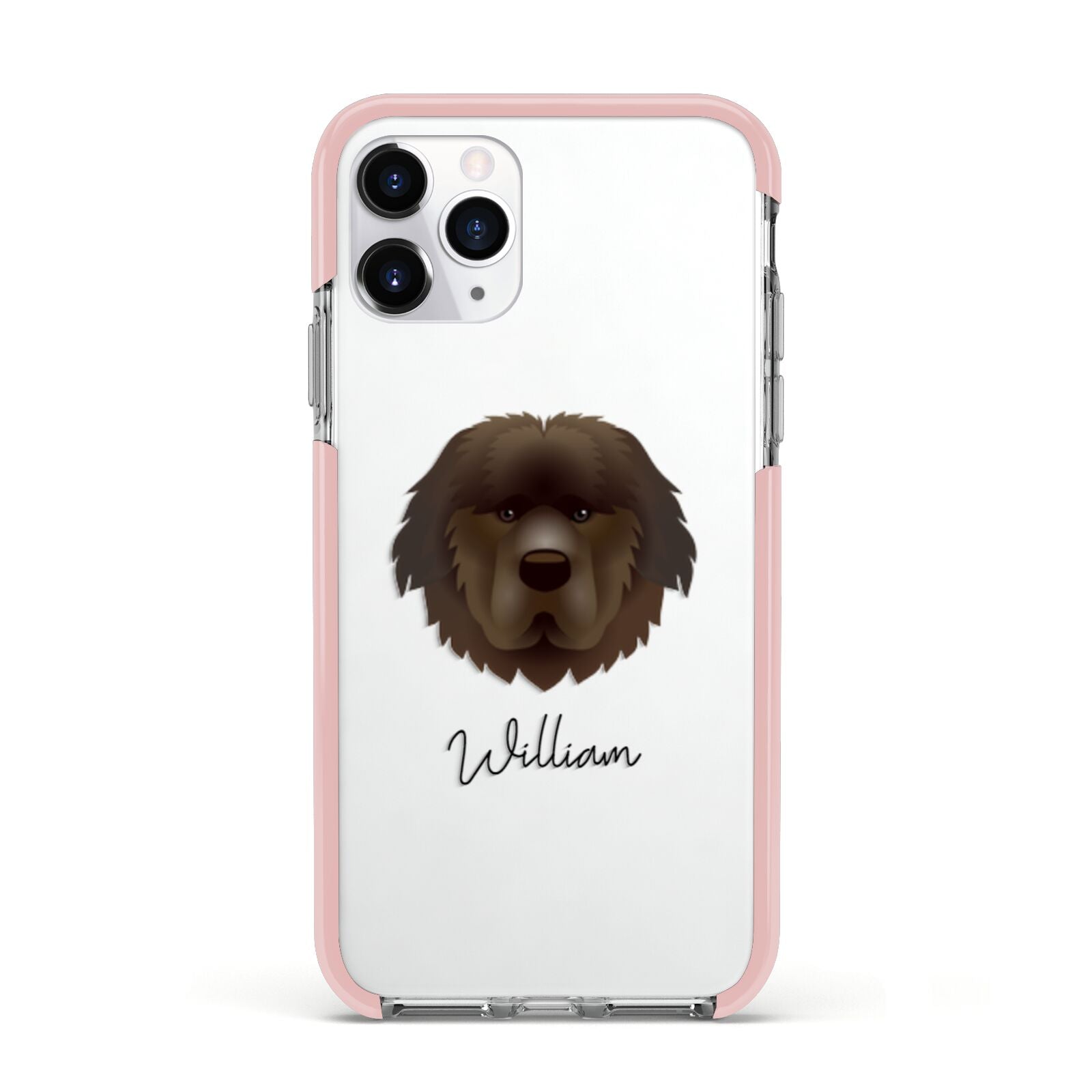Newfoundland Personalised Apple iPhone 11 Pro in Silver with Pink Impact Case