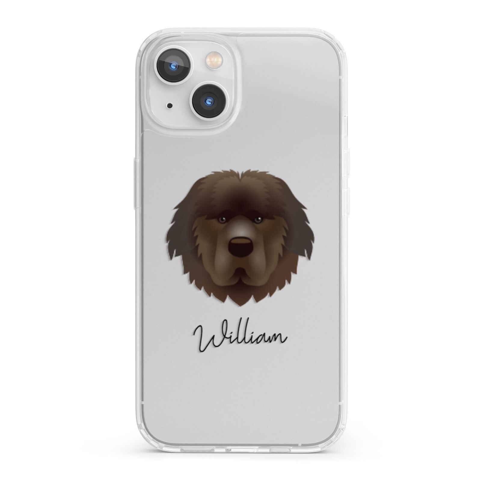 Newfoundland Personalised iPhone 13 Clear Bumper Case