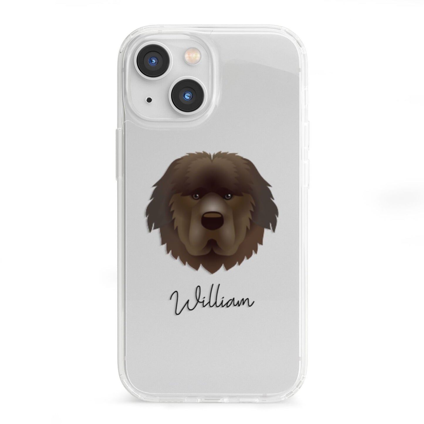 Newfoundland Personalised iPhone 13 Mini Clear Bumper Case