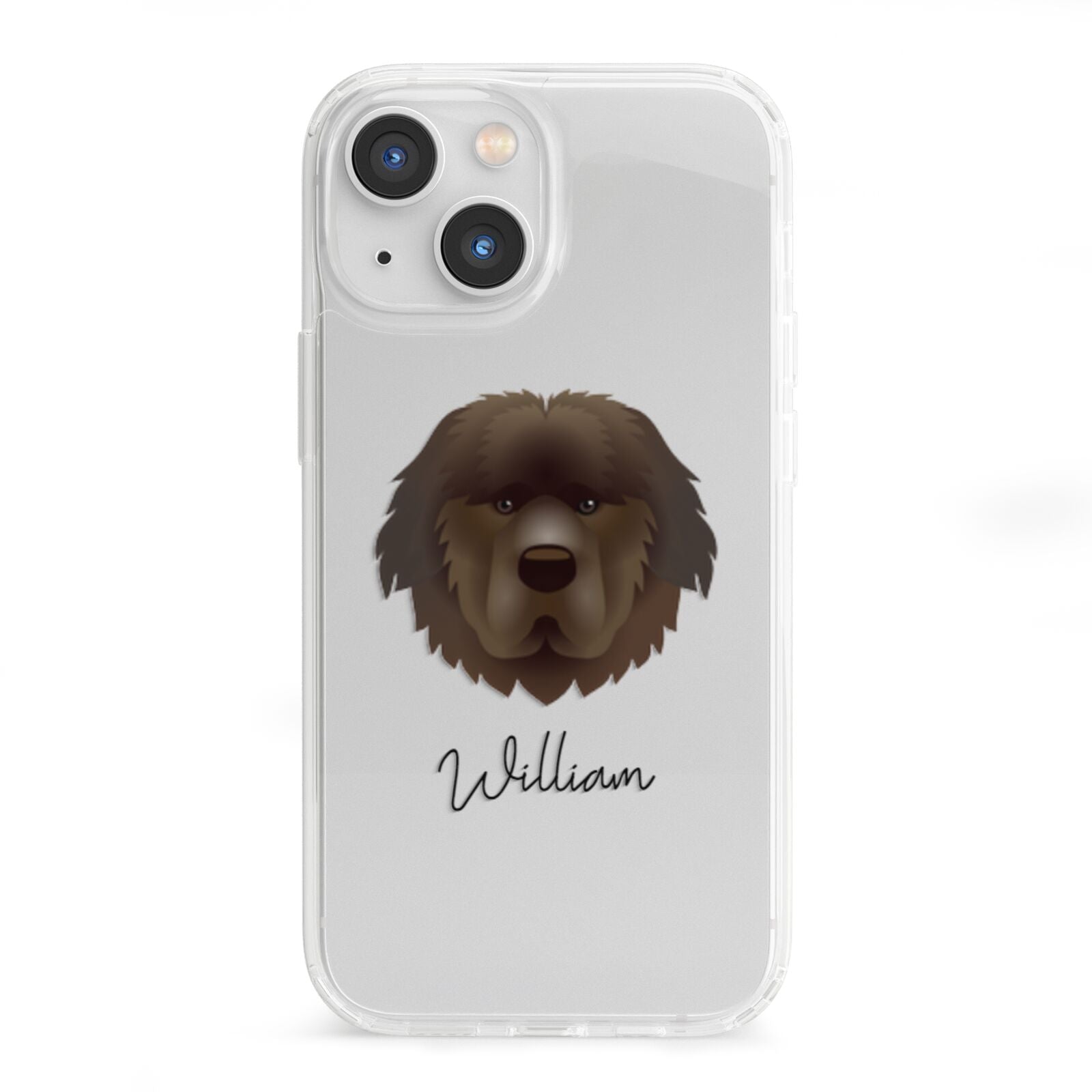 Newfoundland Personalised iPhone 13 Mini Clear Bumper Case
