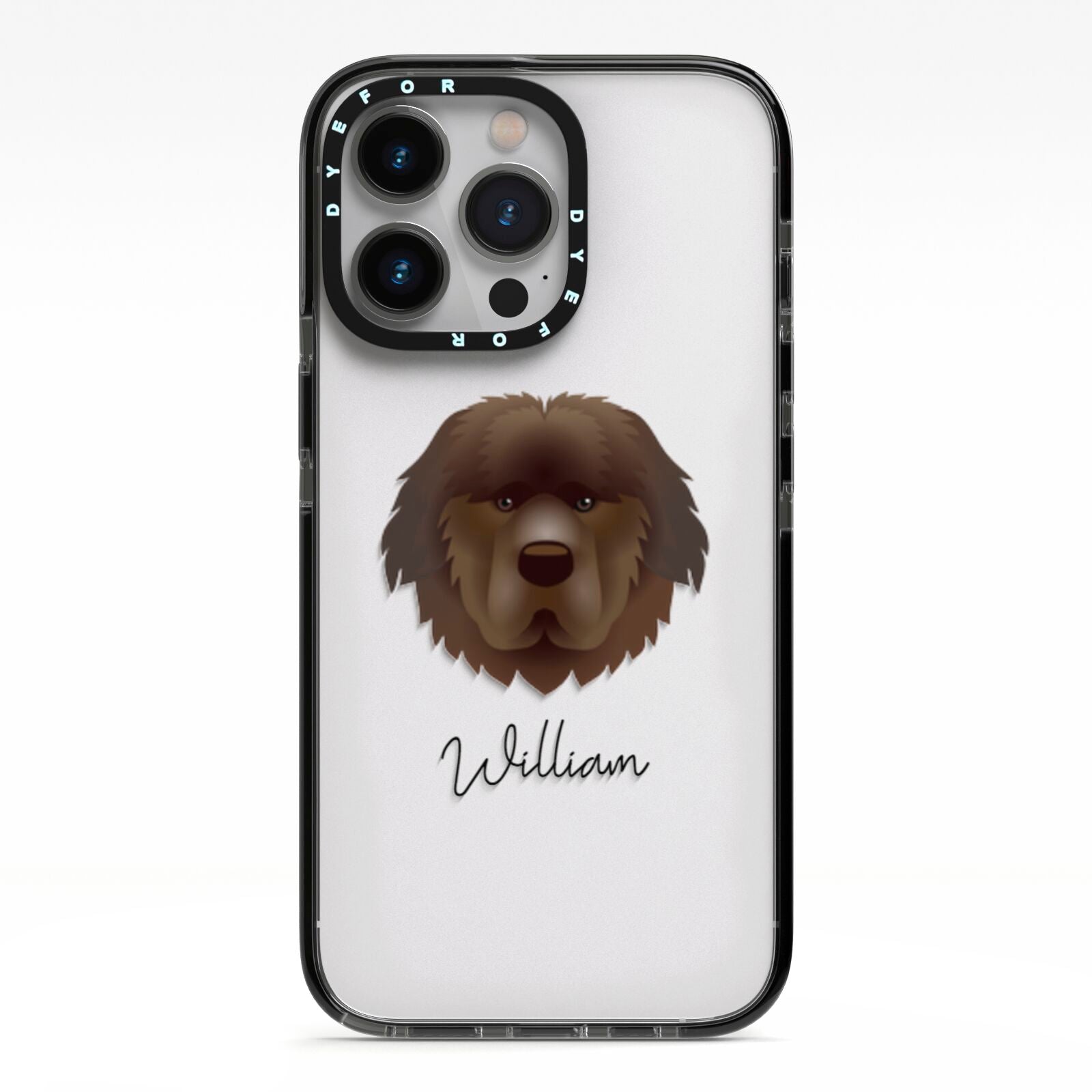 Newfoundland Personalised iPhone 13 Pro Black Impact Case on Silver phone