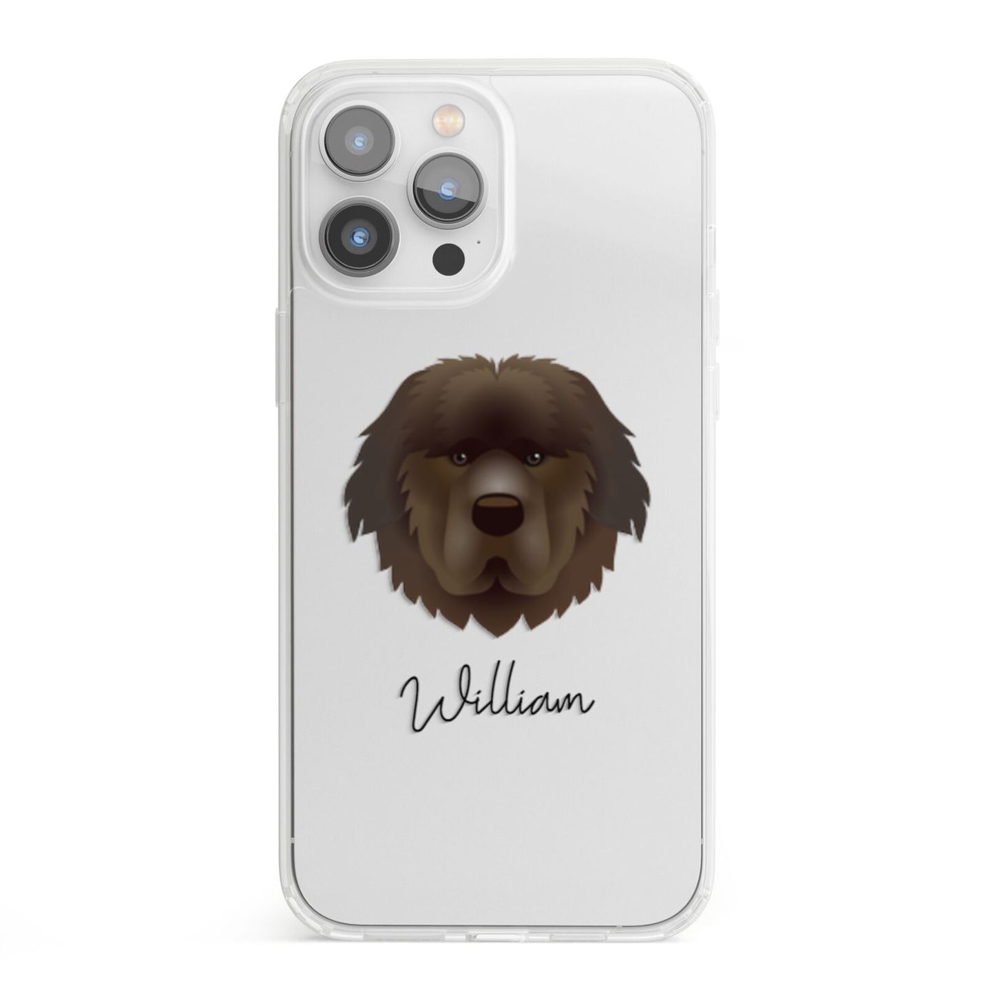 Newfoundland Personalised iPhone 13 Pro Max Clear Bumper Case