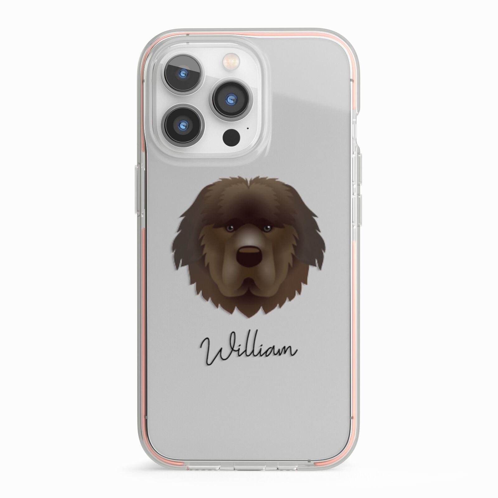 Newfoundland Personalised iPhone 13 Pro TPU Impact Case with Pink Edges