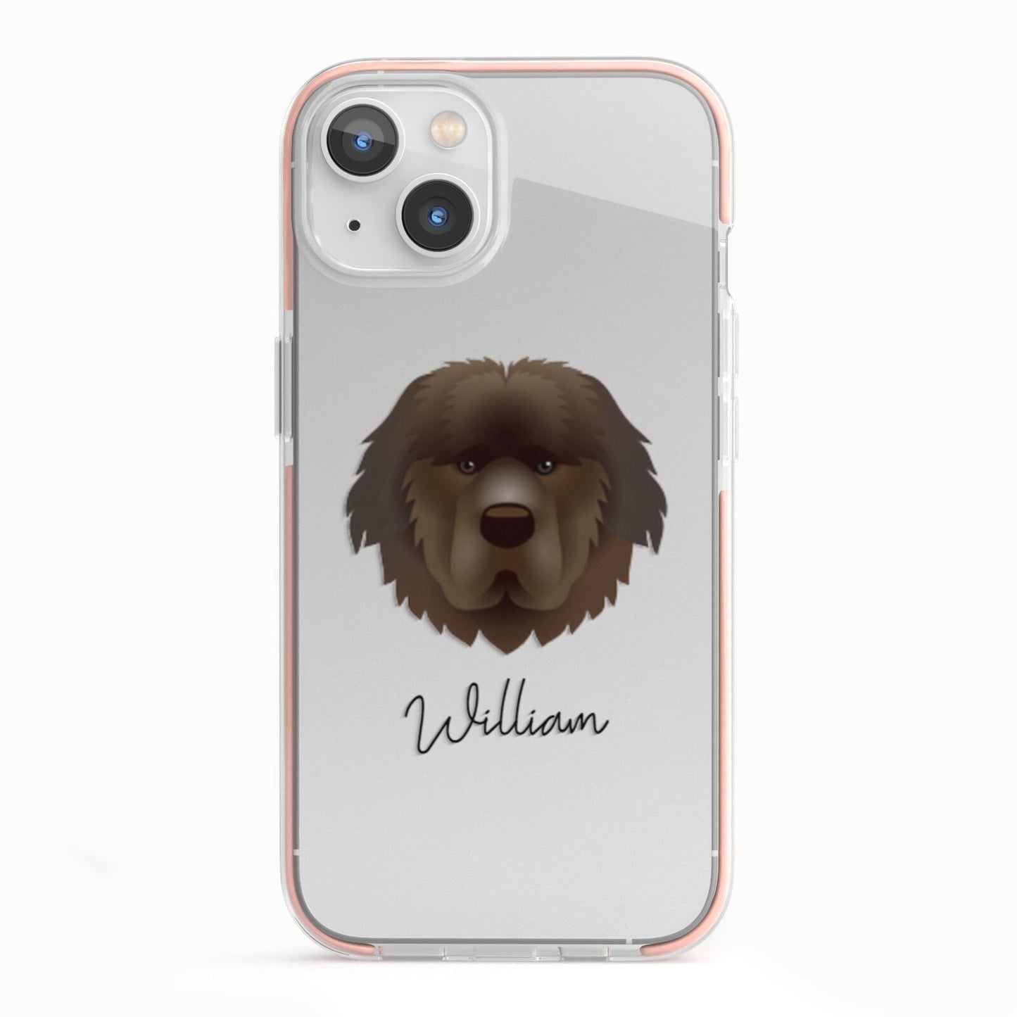 Newfoundland Personalised iPhone 13 TPU Impact Case with Pink Edges