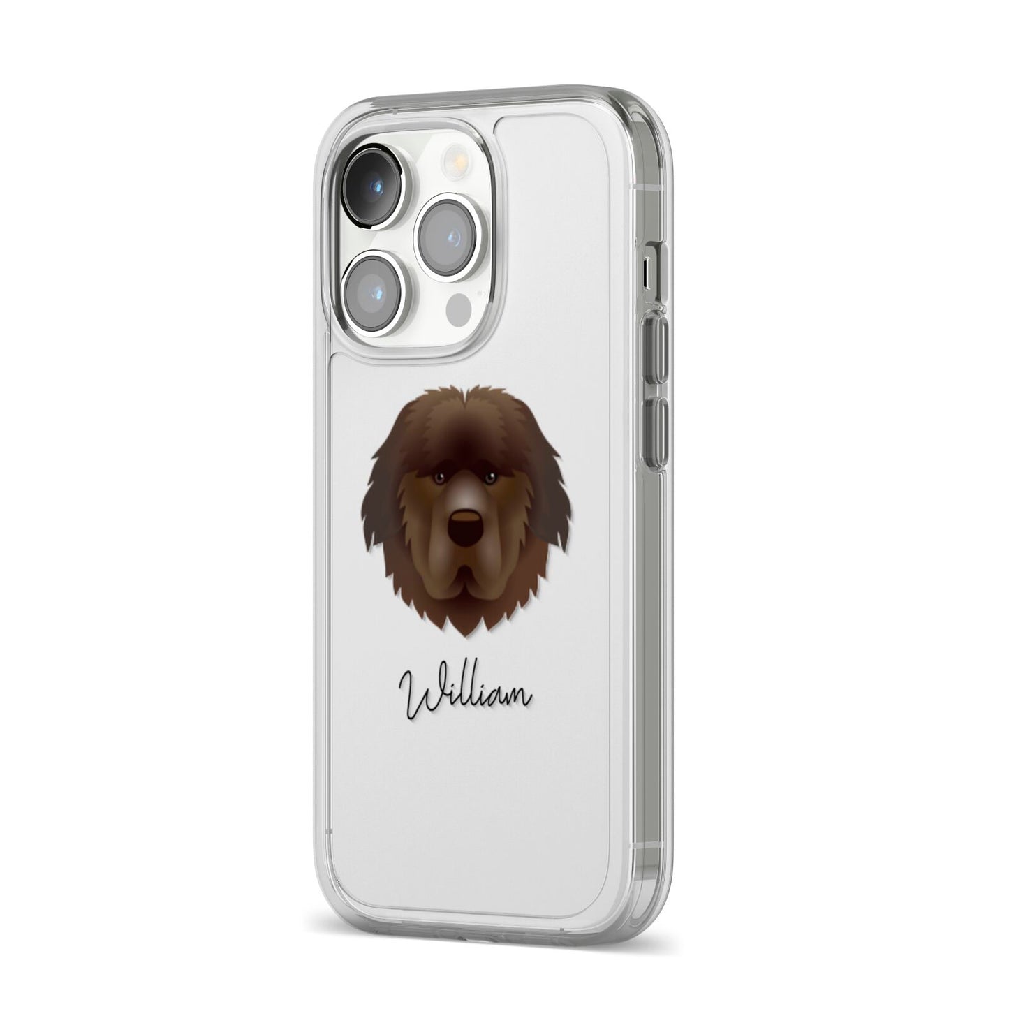 Newfoundland Personalised iPhone 14 Pro Clear Tough Case Silver Angled Image