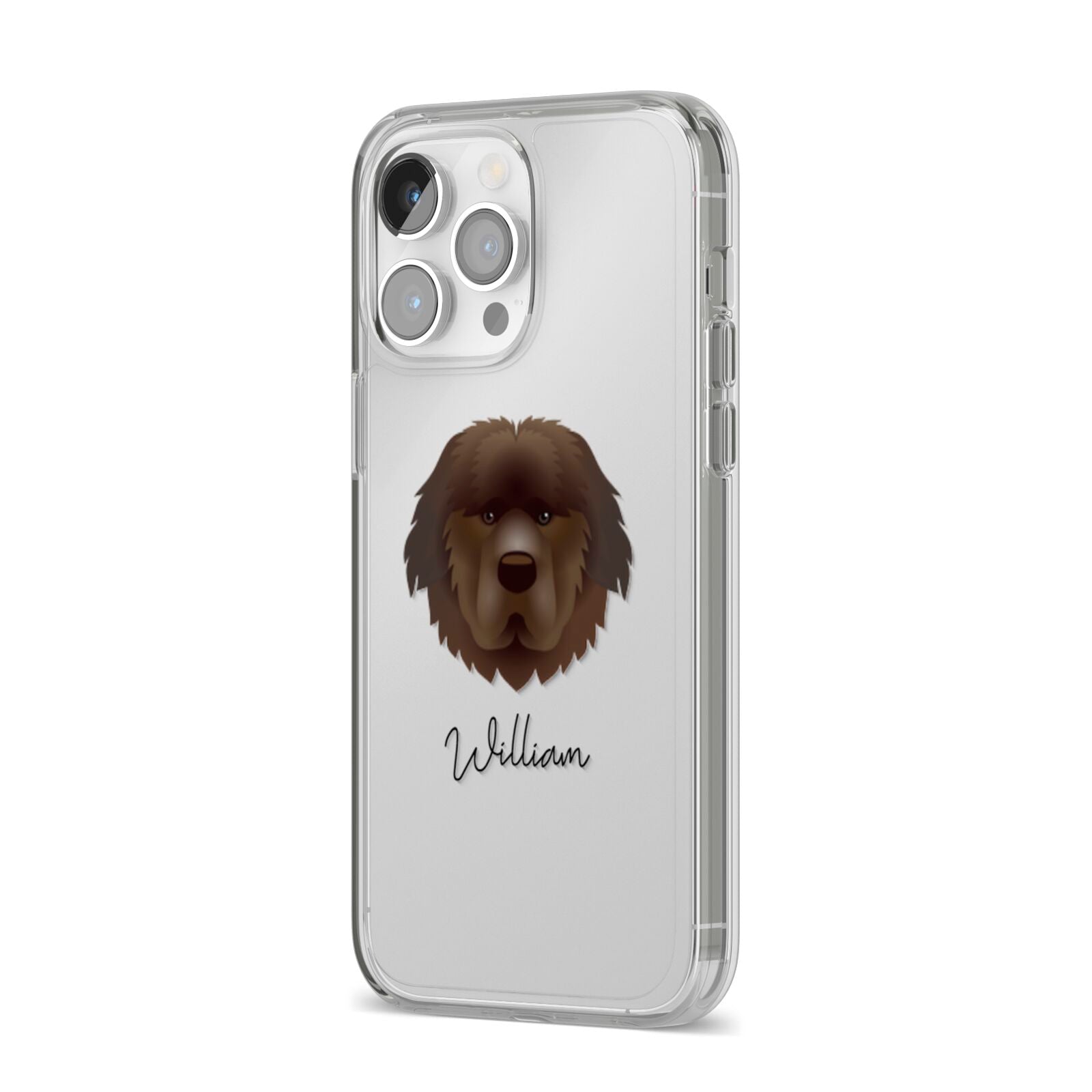 Newfoundland Personalised iPhone 14 Pro Max Clear Tough Case Silver Angled Image