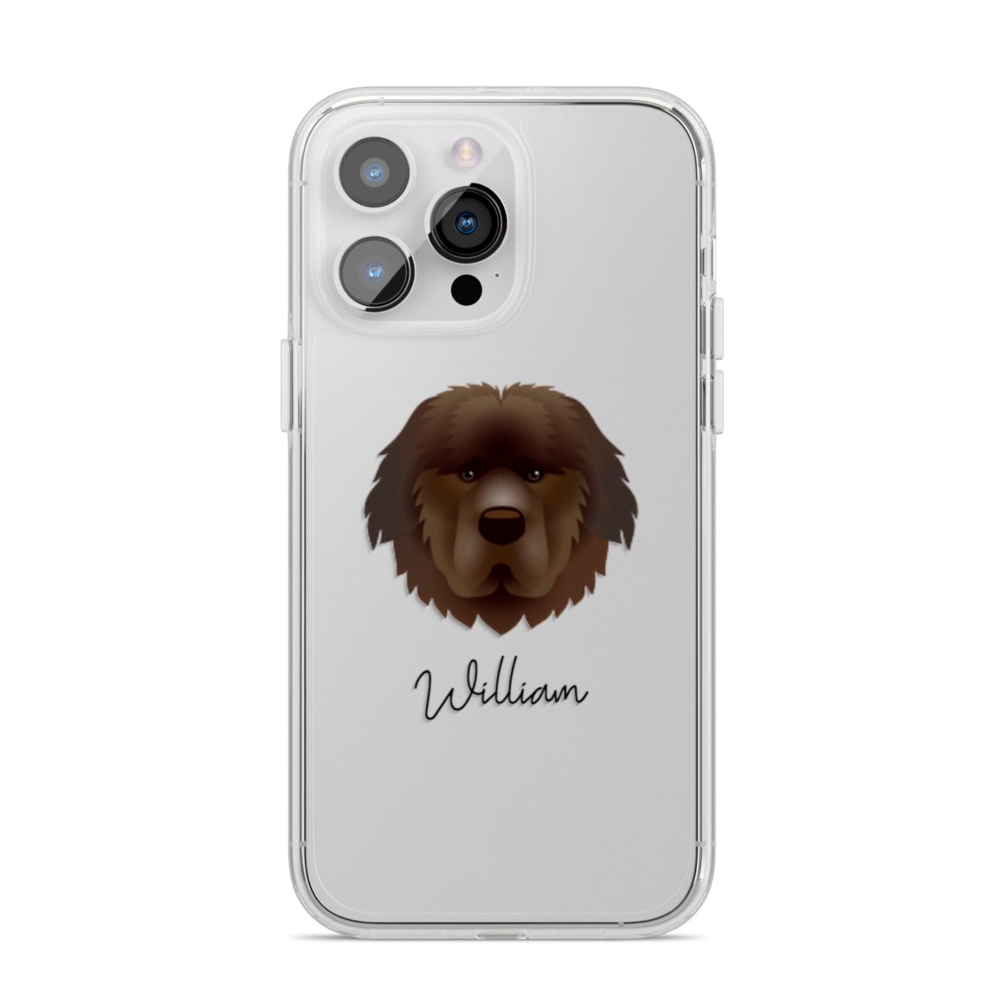 Newfoundland Personalised iPhone 14 Pro Max Clear Tough Case Silver