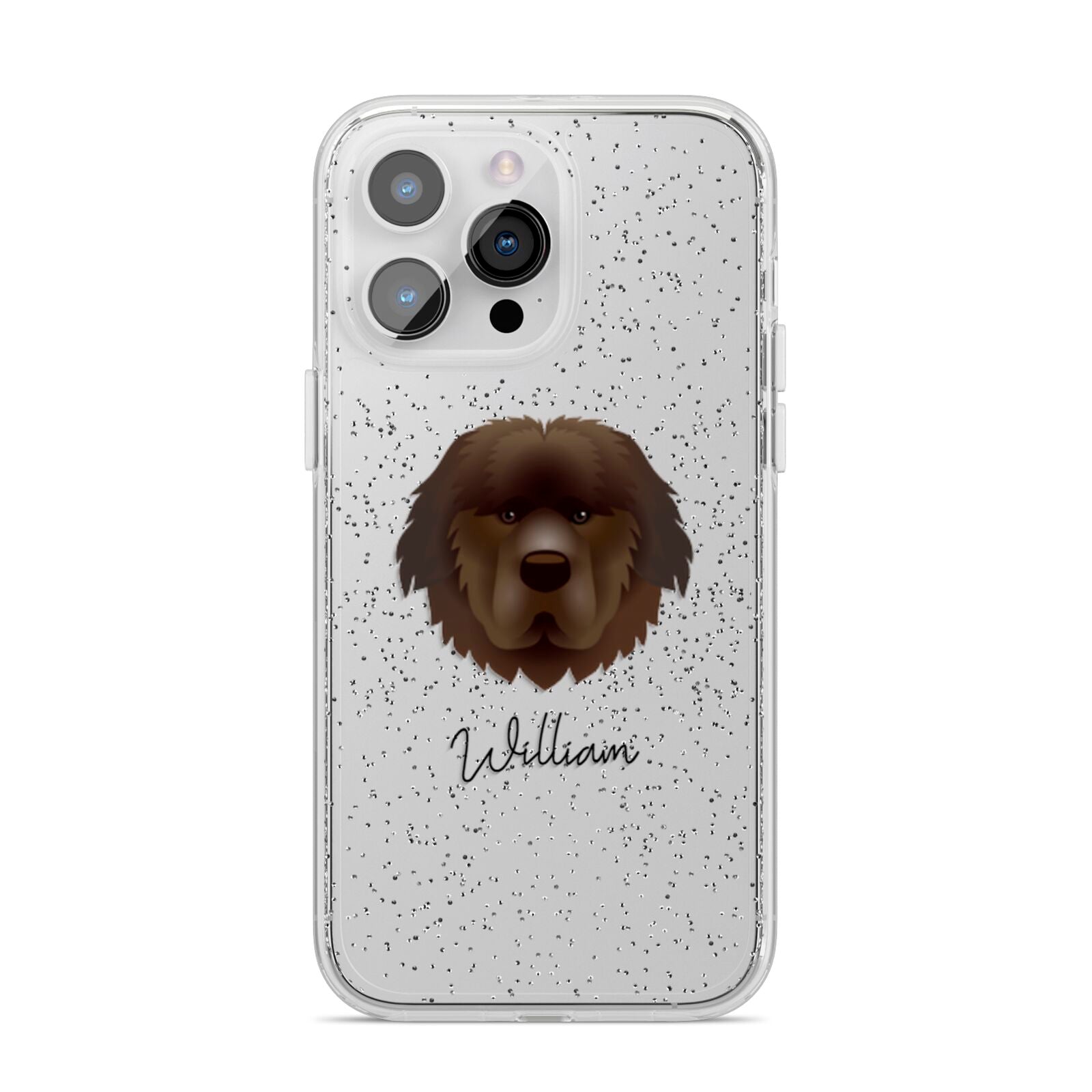 Newfoundland Personalised iPhone 14 Pro Max Glitter Tough Case Silver