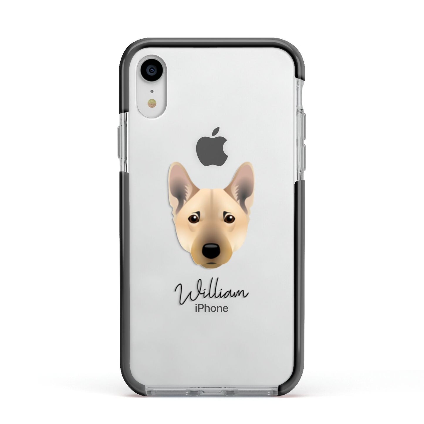 Norwegian Buhund Personalised Apple iPhone XR Impact Case Black Edge on Silver Phone