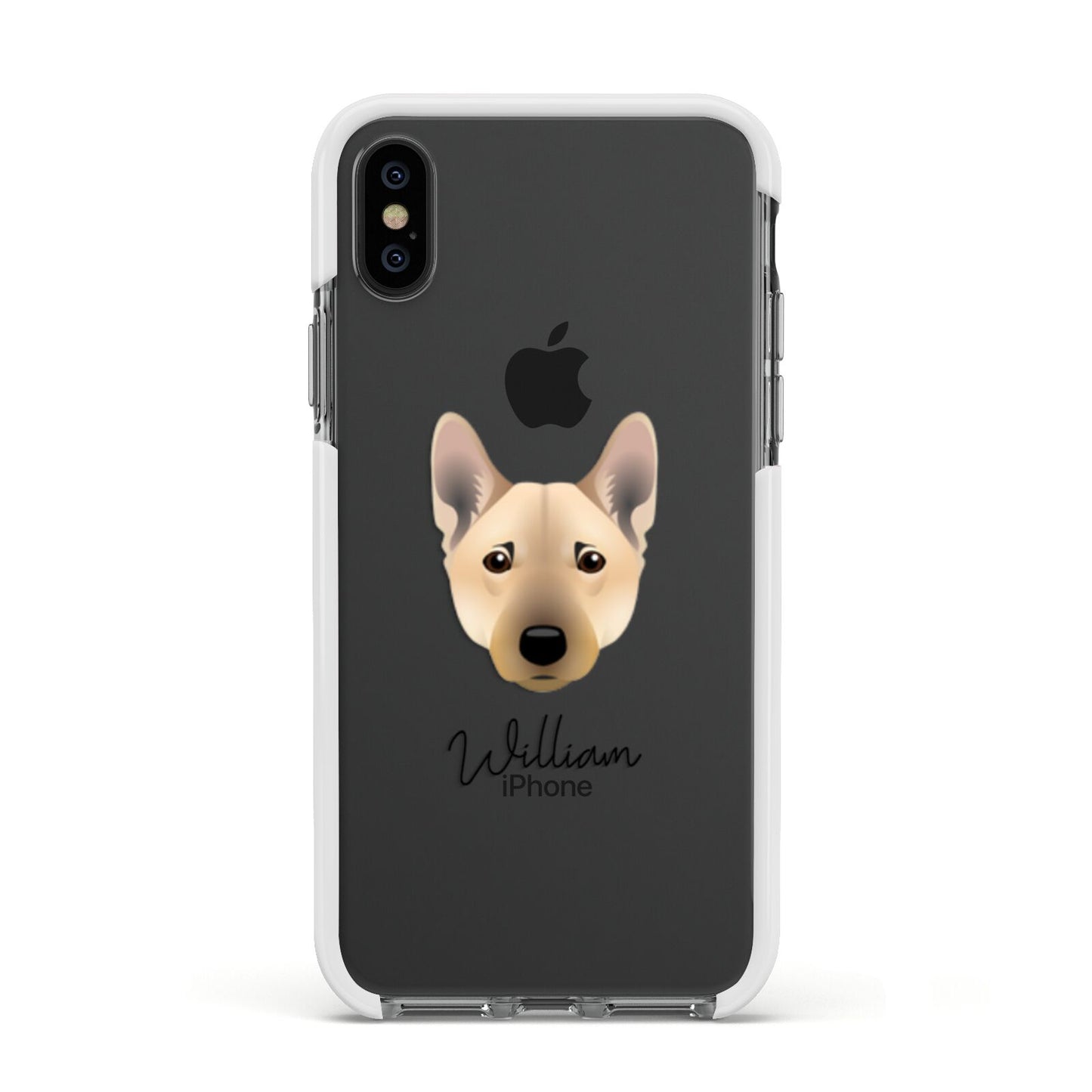 Norwegian Buhund Personalised Apple iPhone Xs Impact Case White Edge on Black Phone