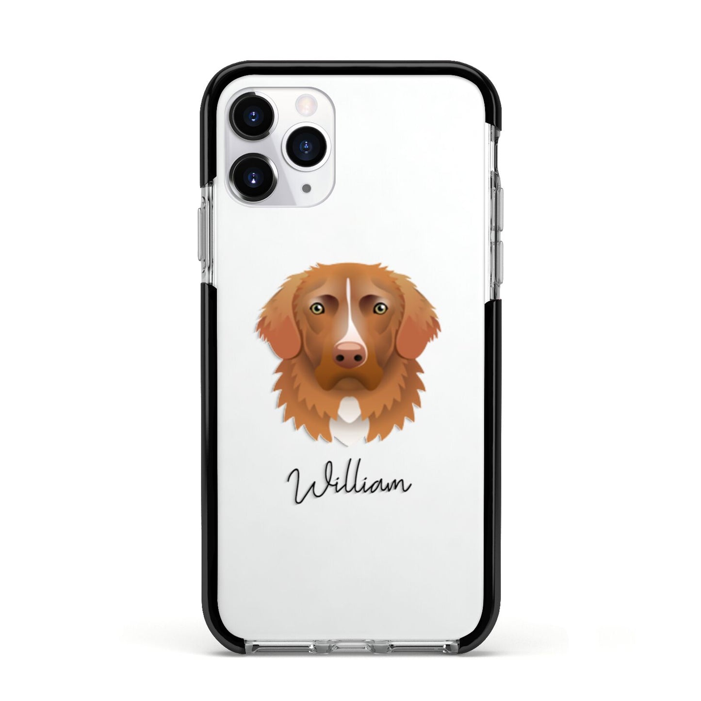Nova Scotia Duck Tolling Retriever Personalised Apple iPhone 11 Pro in Silver with Black Impact Case