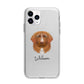 Nova Scotia Duck Tolling Retriever Personalised Apple iPhone 11 Pro in Silver with Bumper Case