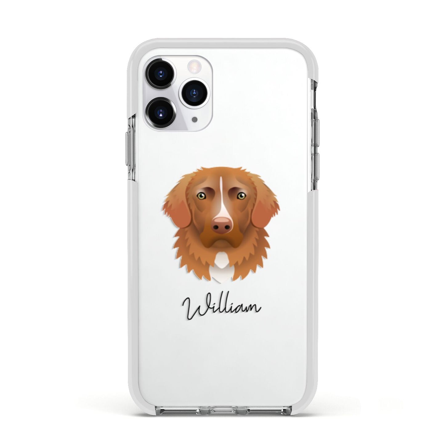 Nova Scotia Duck Tolling Retriever Personalised Apple iPhone 11 Pro in Silver with White Impact Case
