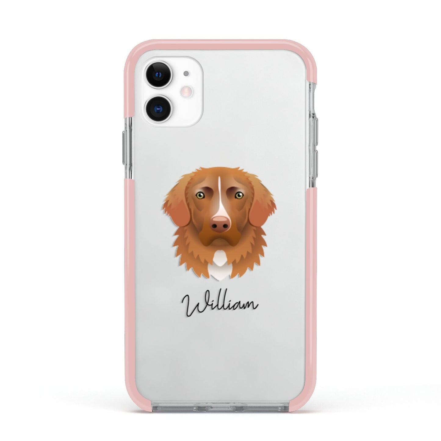Nova Scotia Duck Tolling Retriever Personalised Apple iPhone 11 in White with Pink Impact Case