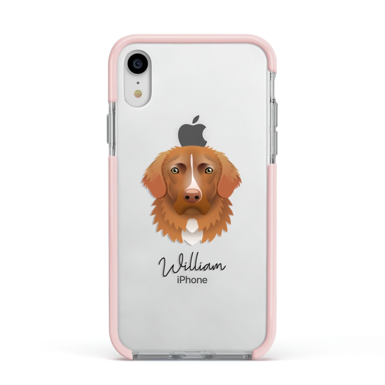 Nova Scotia Duck Tolling Retriever Personalised Apple iPhone XR Impact Case Pink Edge on Silver Phone