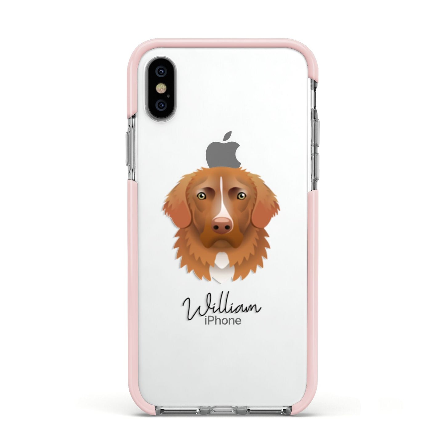 Nova Scotia Duck Tolling Retriever Personalised Apple iPhone Xs Impact Case Pink Edge on Silver Phone
