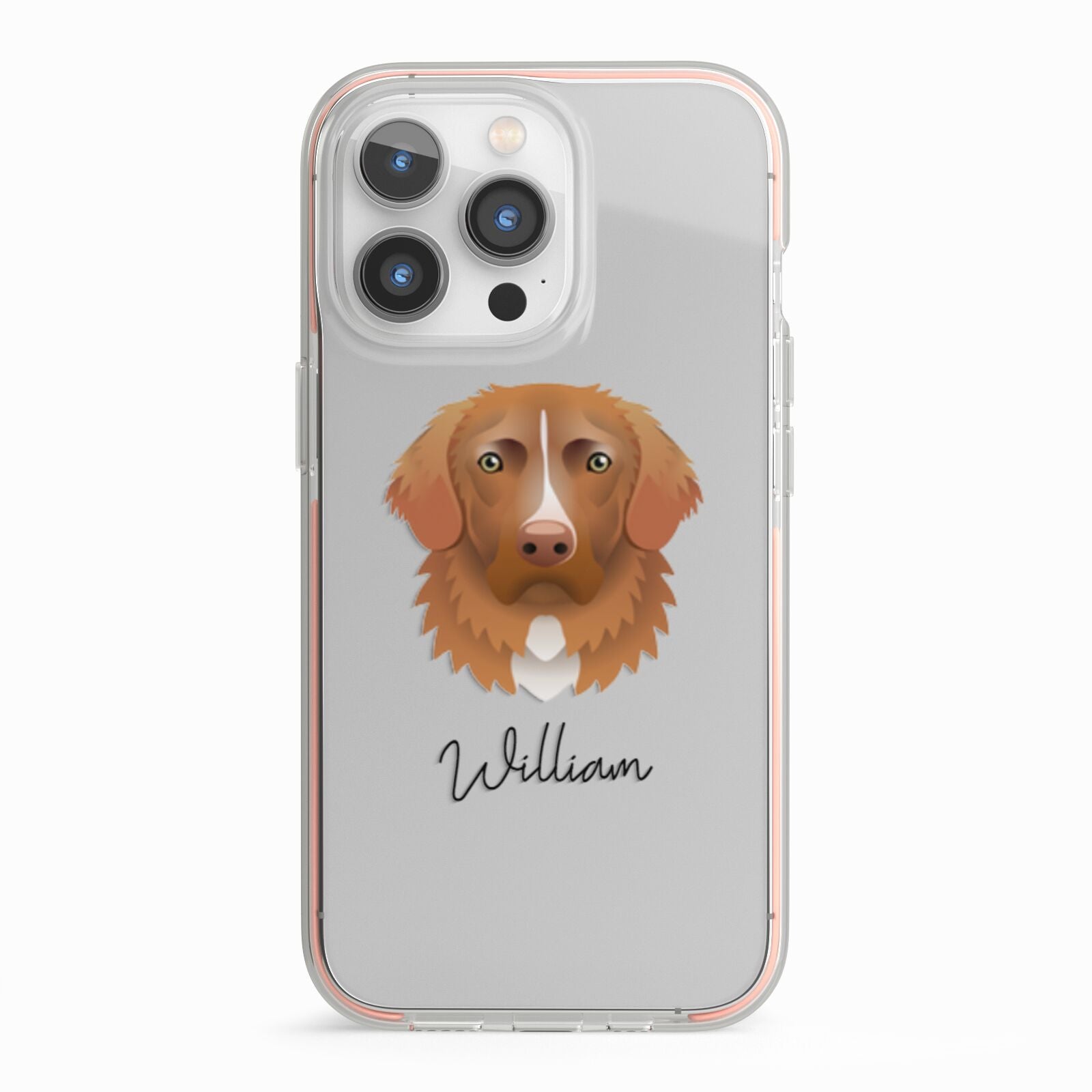 Nova Scotia Duck Tolling Retriever Personalised iPhone 13 Pro TPU Impact Case with Pink Edges