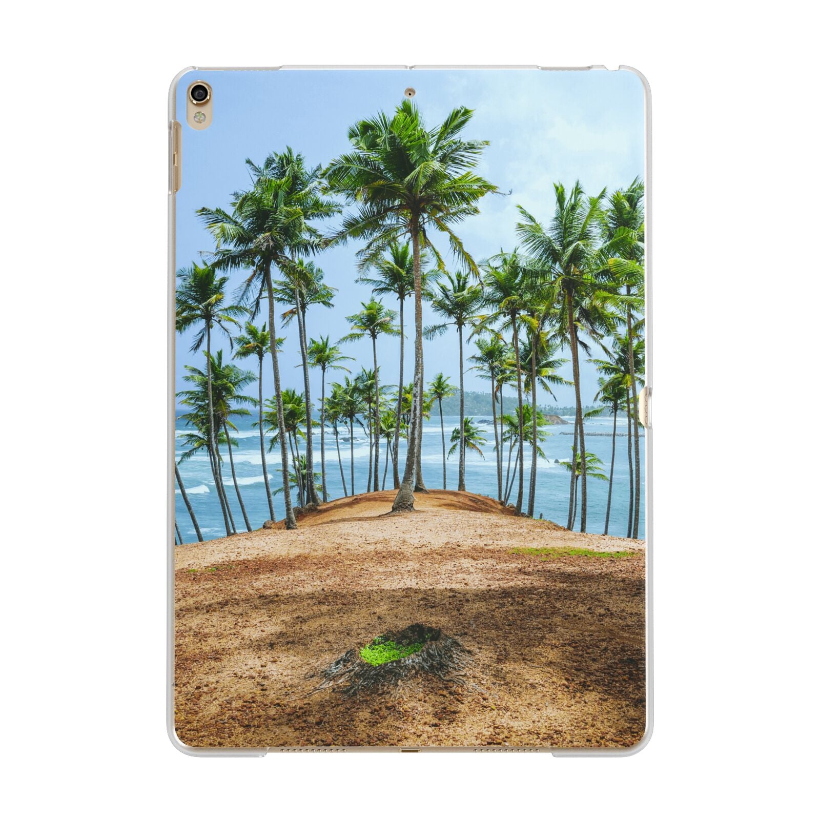 Palm Trees Apple iPad Gold Case