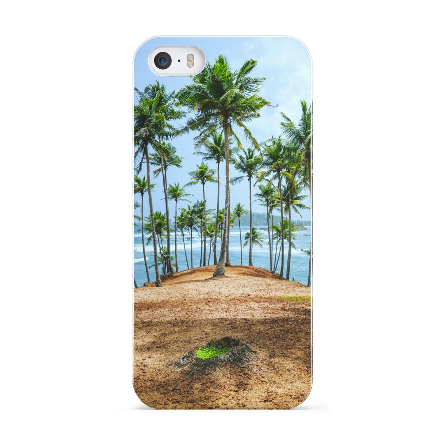 Palm Trees Apple iPhone 5 Case
